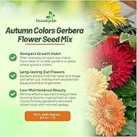 Vista 11 de Outsidepride Bicolor Mix Gerbera Seeds - 10 Pcs Perennial, Compact & Low Maintenance, Flower Seeds for Planting w/Vibrant Mixed Blooms, Ideal for