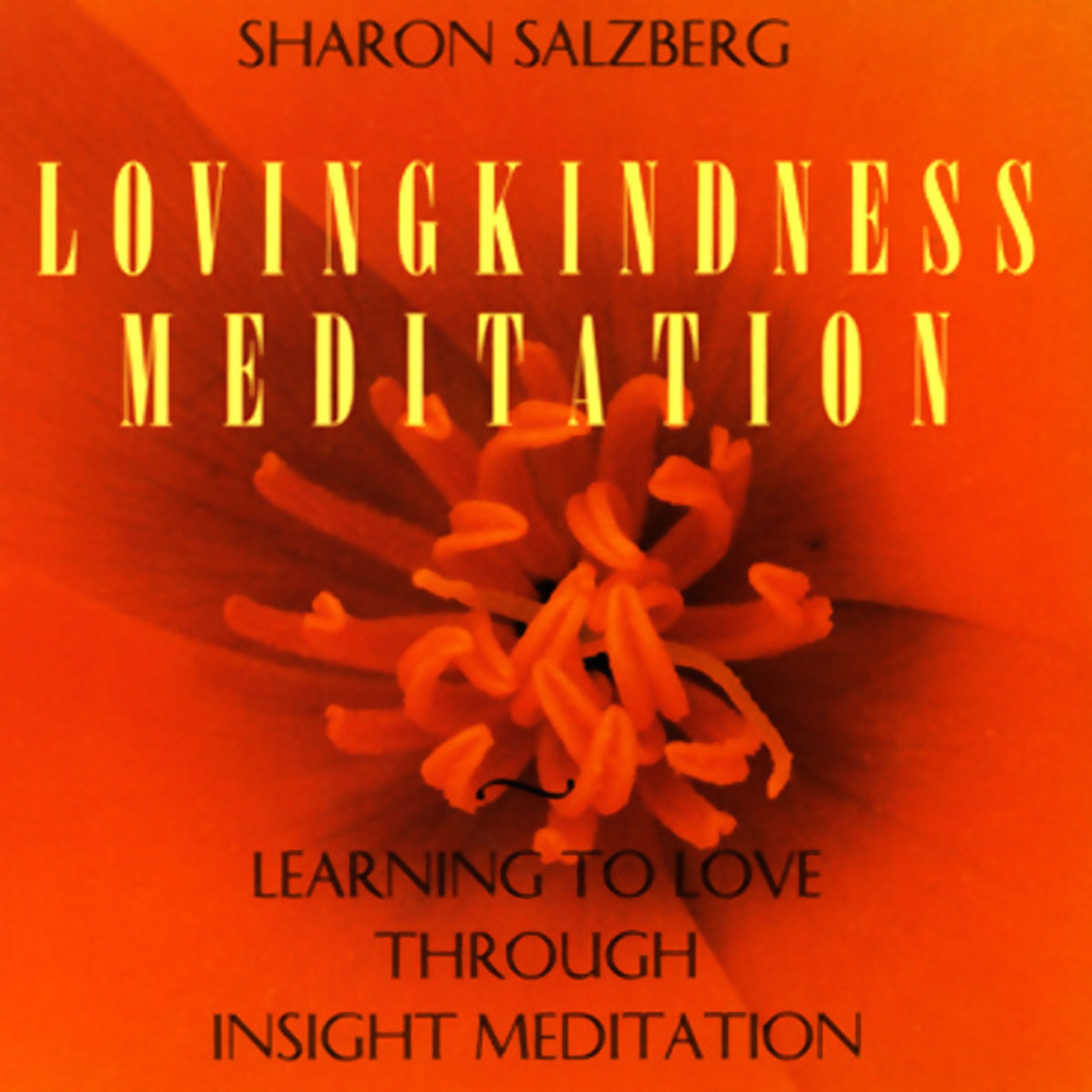 Lovingkindness Meditation: Learning to Love Through Insight Meditation