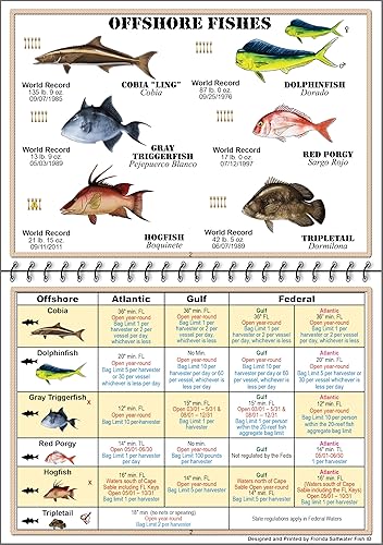 Florida Saltwater Fish Identification Book with FWC Rules, Regulations, Limits,