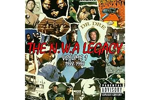 Ice Cube - It Was A Good Day (Remix)