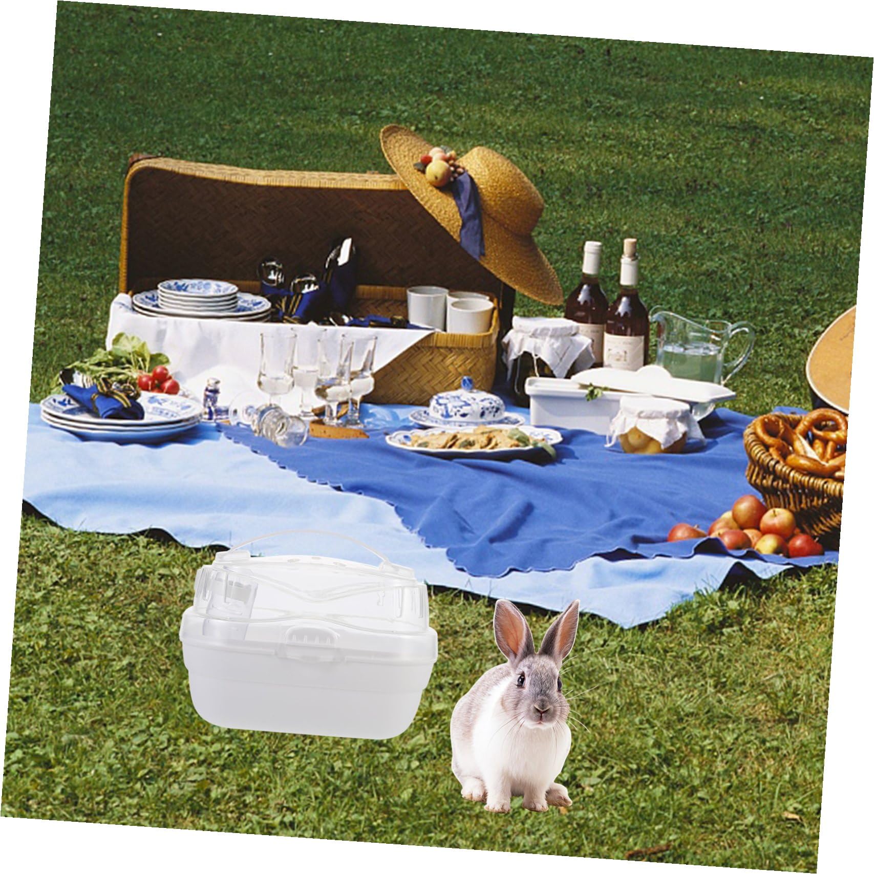 Tragbarer Hamster Reisekäfig als Hamsterbehälter aus Pp, Weiß