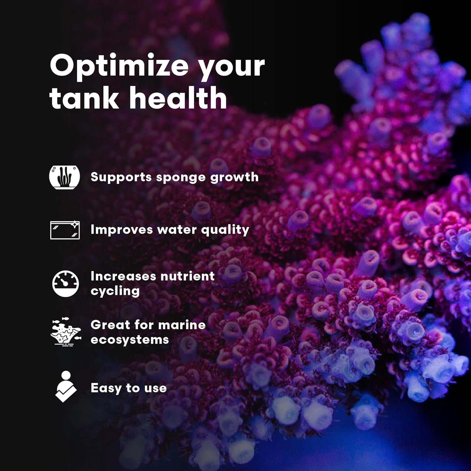 Brightwell Aquatics SpongExcel – Ionic Silica Solution for Marine Sponge & Gastropod Growth in Marine Aquariums, Boosts Water Quality, 2 L