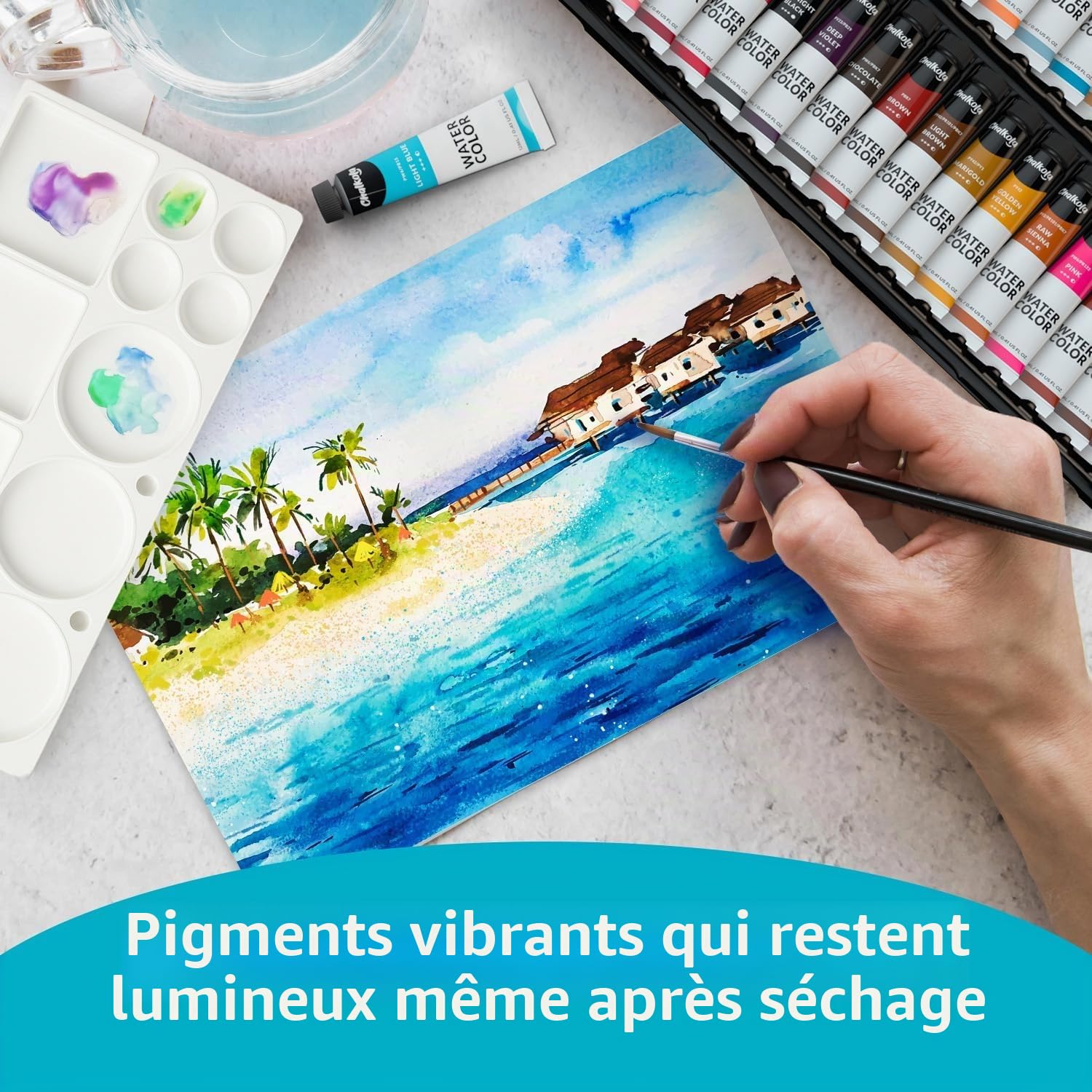 Chalkola Ensemble de peinture aquarelle – 64 tubes de peinture aquarelle (12 ml, 11,3 g), 10 pinceaux et 1 palette, 20 tampons d'aquarelle | Fournitures d'art pour adultes et débutants