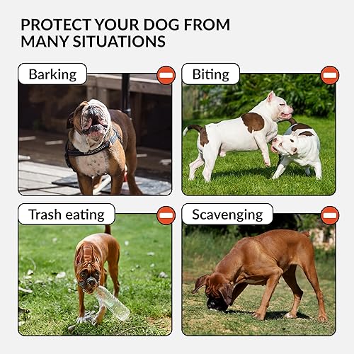 Miniatura 4 de CollarDirect Bozal de perro de cuero para boxeador, Bulldog inglés americano, seguro, antiladridos, mordedura, masticar, ajustable, transpirable