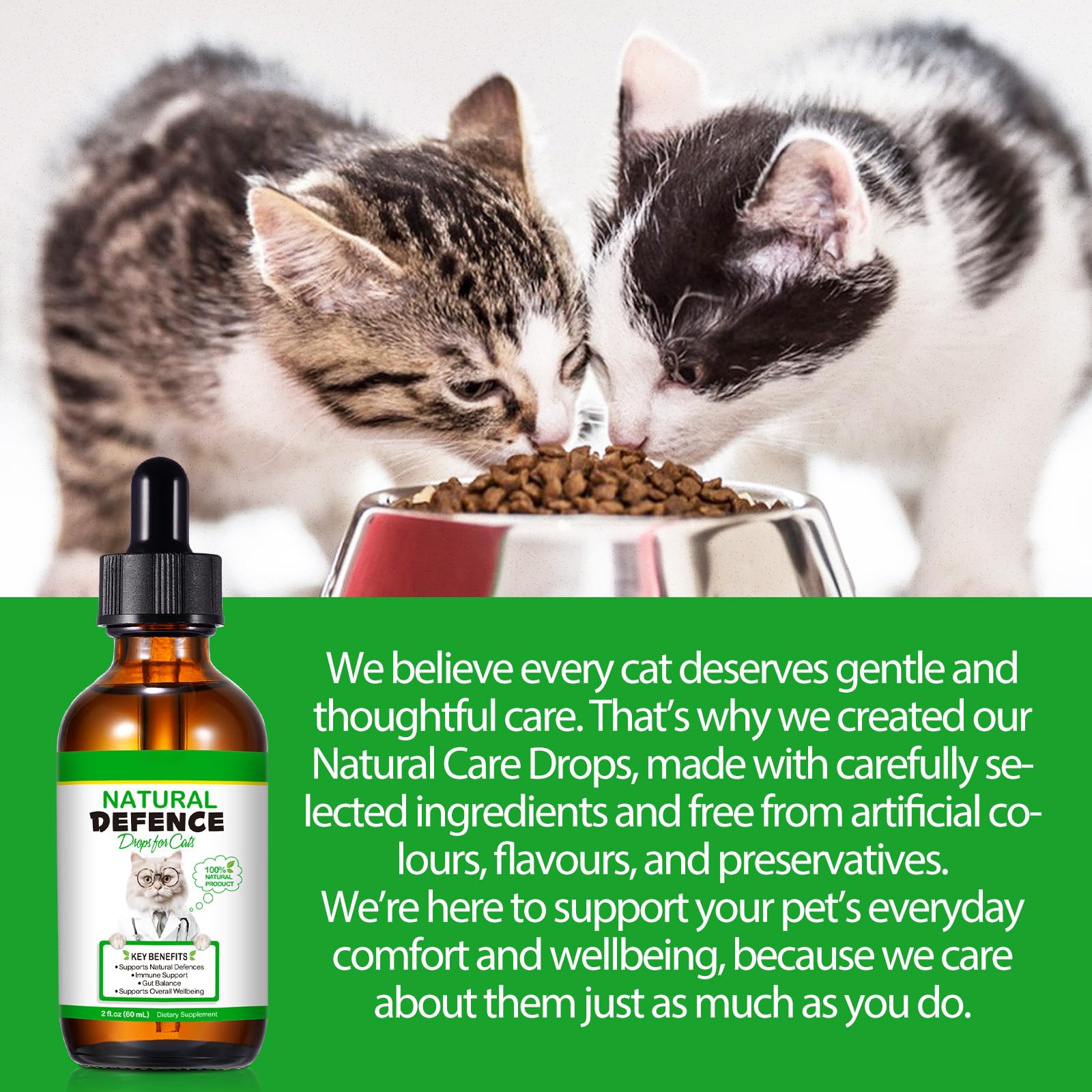 Fórmula Natural Antibacteriana para Gatos 60ml – Apoya el Sistema Inmunológico y Alivia Las Alergias – Alivio del Picor, Problemas de Oídos, Piel y Tracto Urinario – para Todas Las Razas y Edades