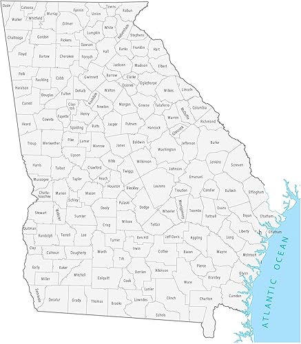 Home Comforts Mapa del condado de Georgia  Póster laminado de imágenes vívidas de mapa grande, póster laminado de 20 x 30 pulgadas con colores