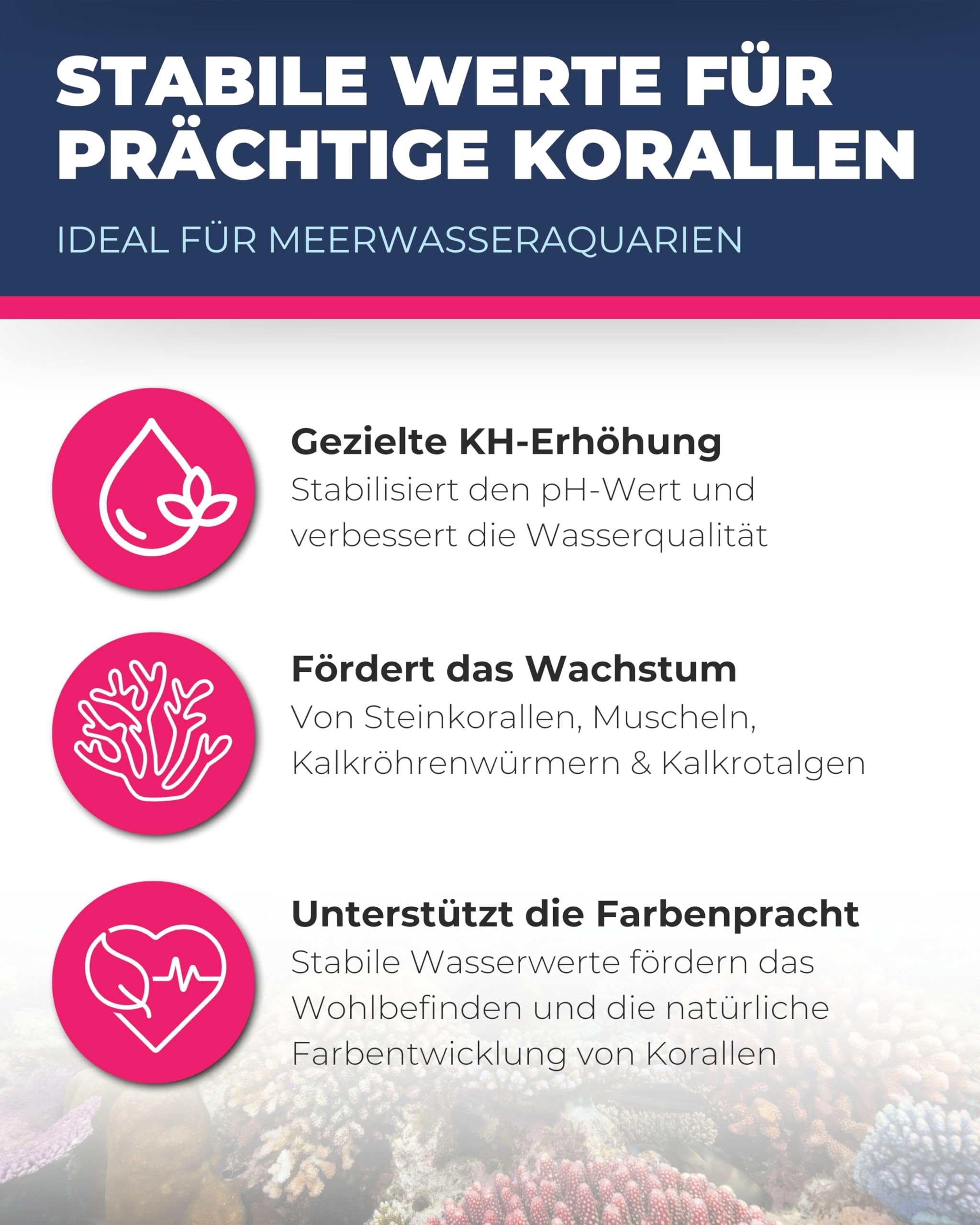 Dupla KH+ Liquid 5.000 ml - Flüssiger Karbonatbildner für stabilen pH-Wert - Effiziente Wasseraufbereitung für Ihr Aquarium - Fördert das Korallenwachstum - Für Meerwasseraquarien geeignet