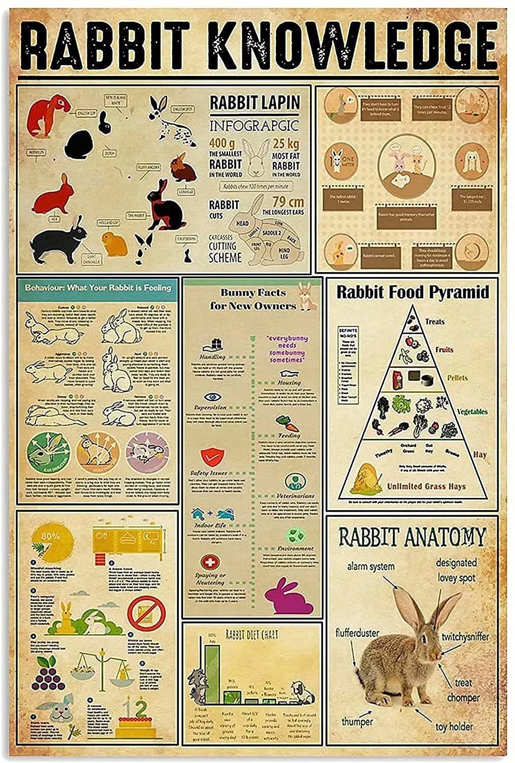 rabbit Knowledge tin sign Metal Signs, Fun Poster For Bar Kitchen Cafe Farmhouse Wall Decor 8x12inch
