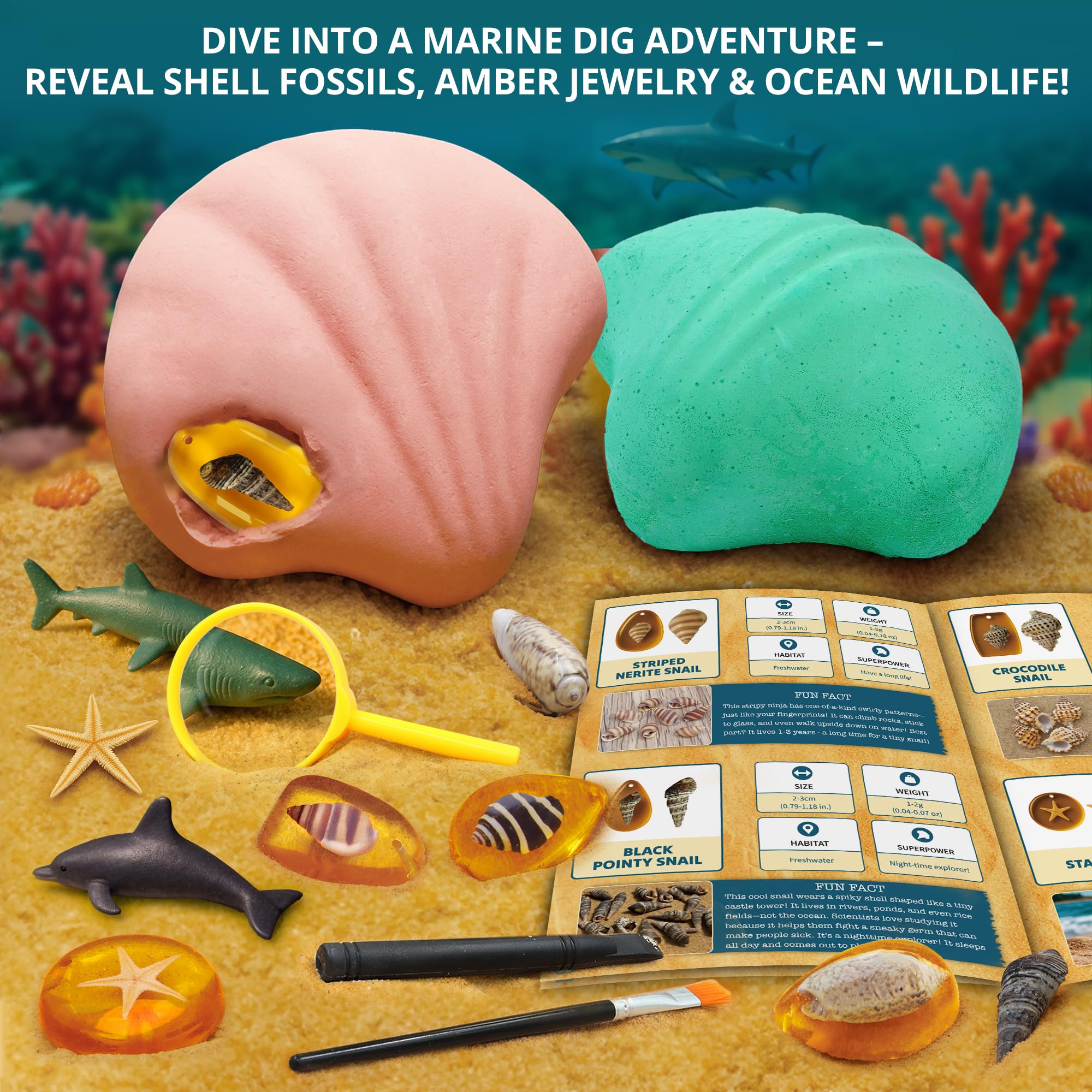PIBEX Under-The-Sea Dig Kit – Graben und entdecken Sie 18 echte Muschelfossilien, Bernsteinschmuck und Meerestierkreaturen, Ozean-Halskette und STEM-Ausgrabungsaktivitätsspielzeug für Kinder ab 6