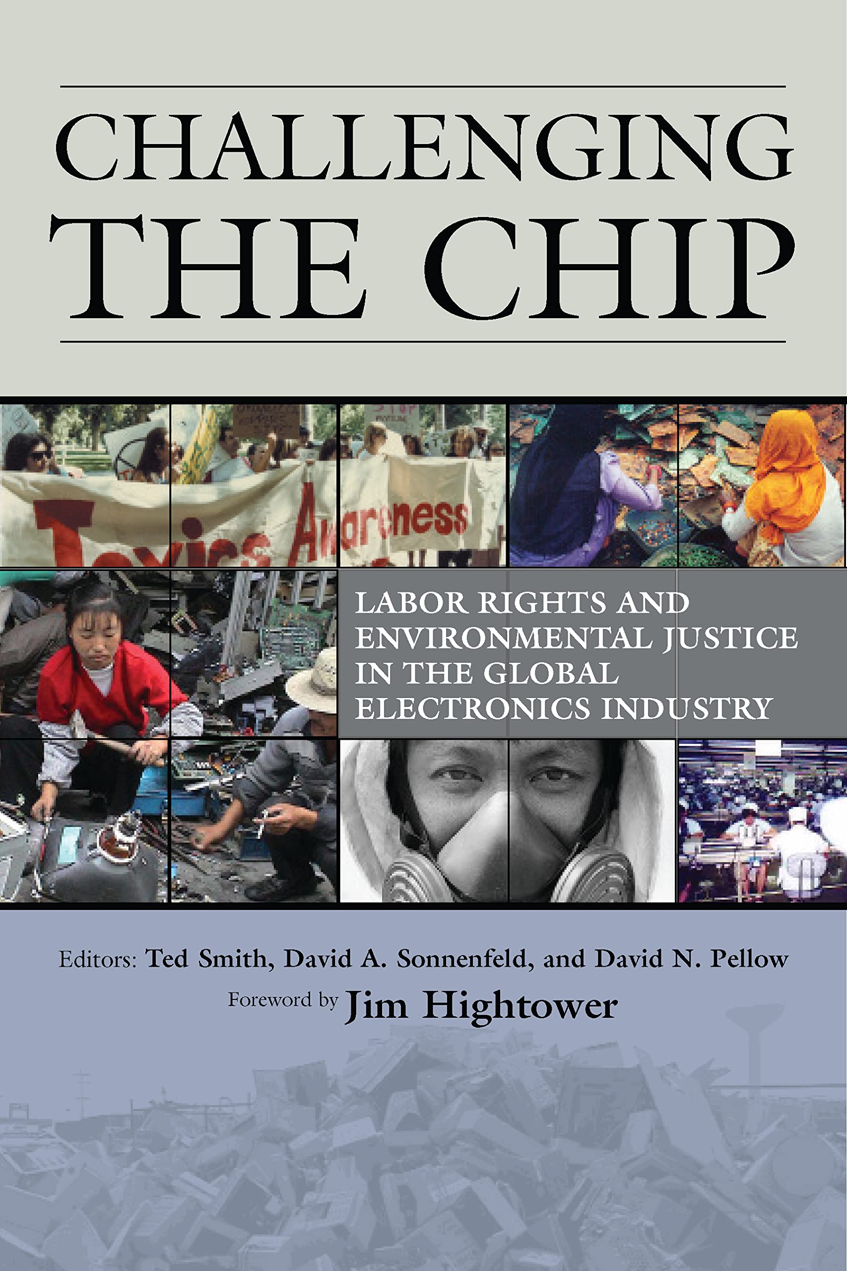 Buy Challenging the Chip: Labor Rights And Environmental Justice in the Global Electronics Industry โ BookShops.in
