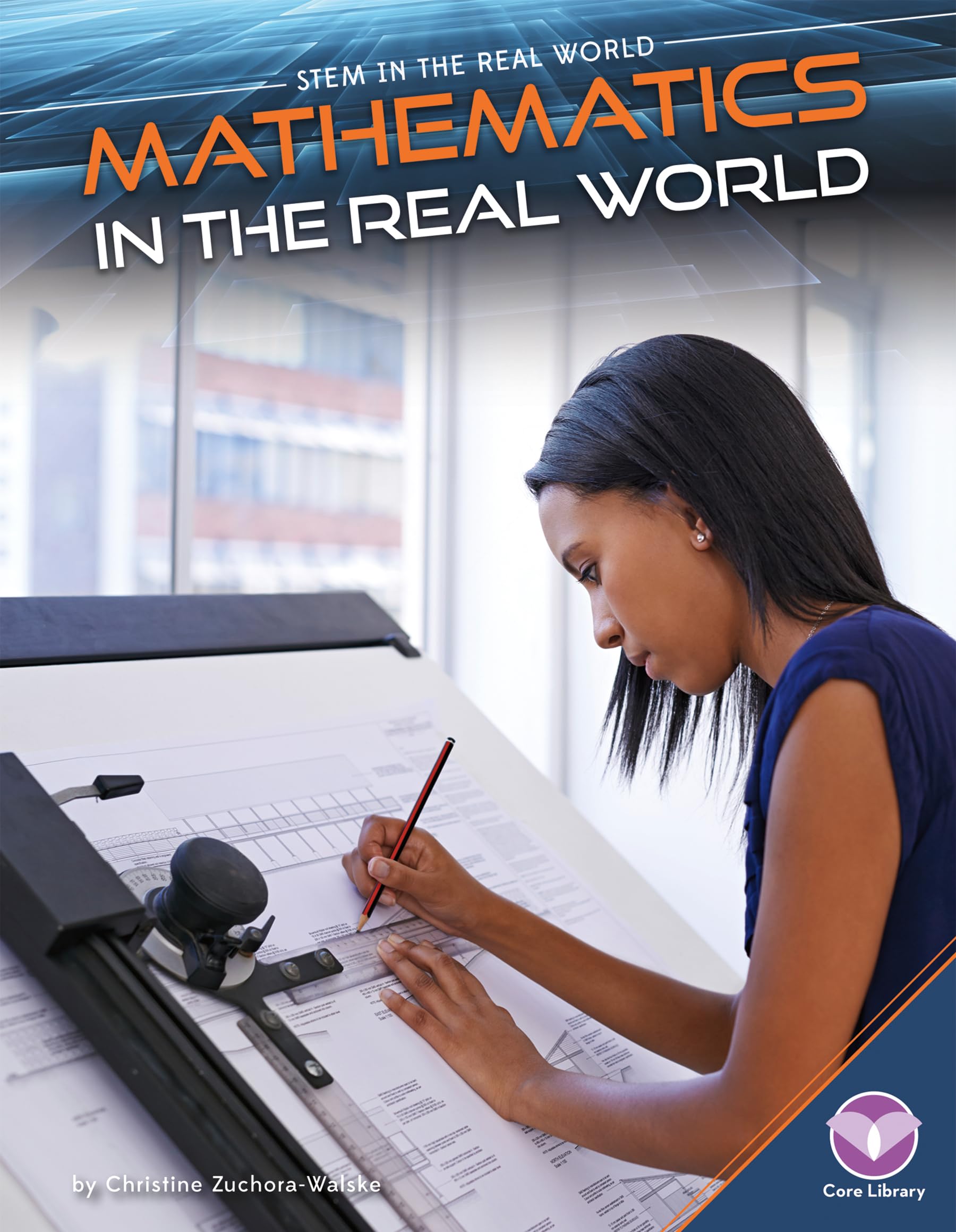 Buy Mathematics in the Real World (Stem in the Real World) — BookShops.in