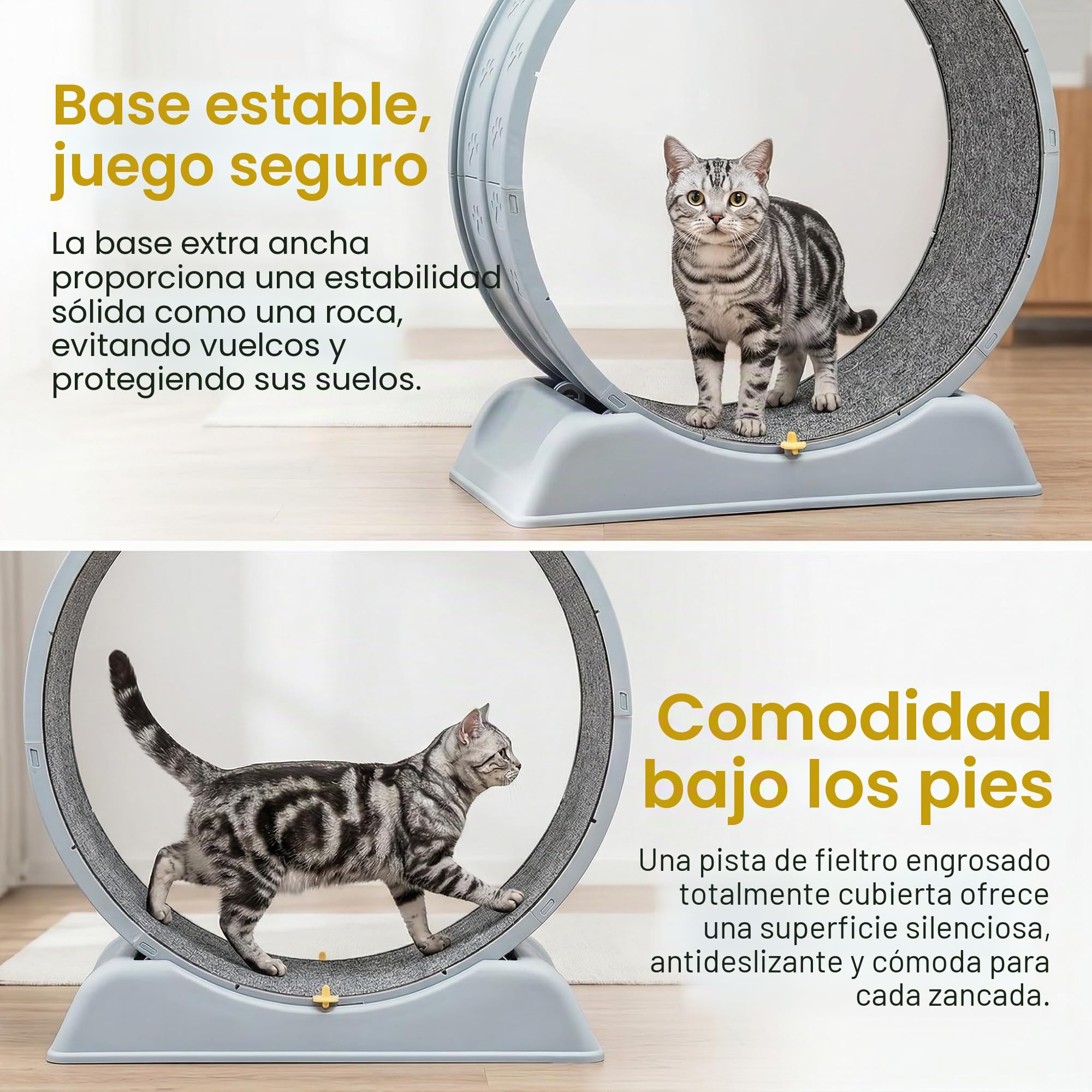 Rueda de ejercicio para gatos ShkitAelling, rueda de 80 cm para gatos domésticos, con mecanismo de bloqueo y suave revestimiento interior para correr, entrenar y entretener
