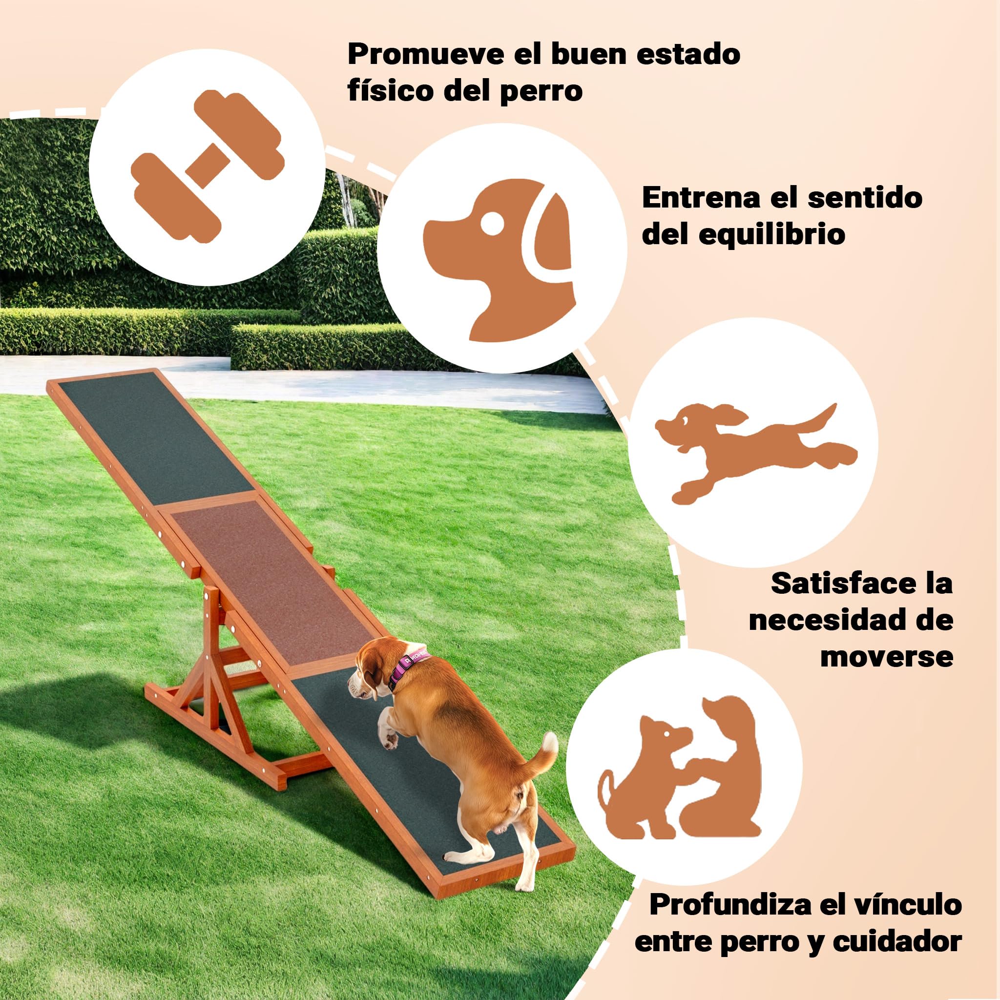 Balancín Perros Agility Ejercicio Mascotas Entrenamiento canino Animales Juguetes Animales Exterior
