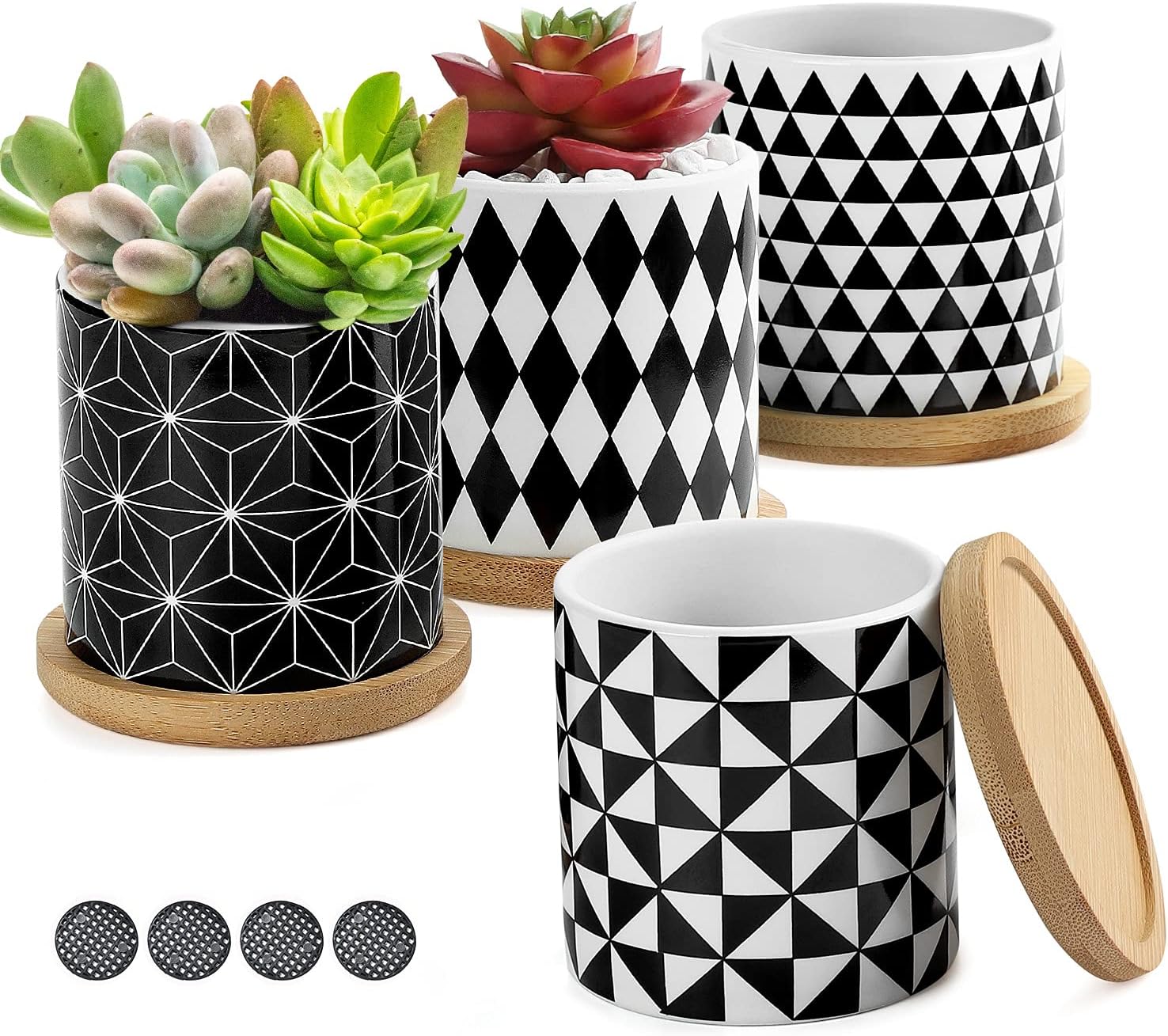 Coolty 4 Stück Keramik Sukkulenten Töpfe, 7cm Mini Kaktus Pflanze