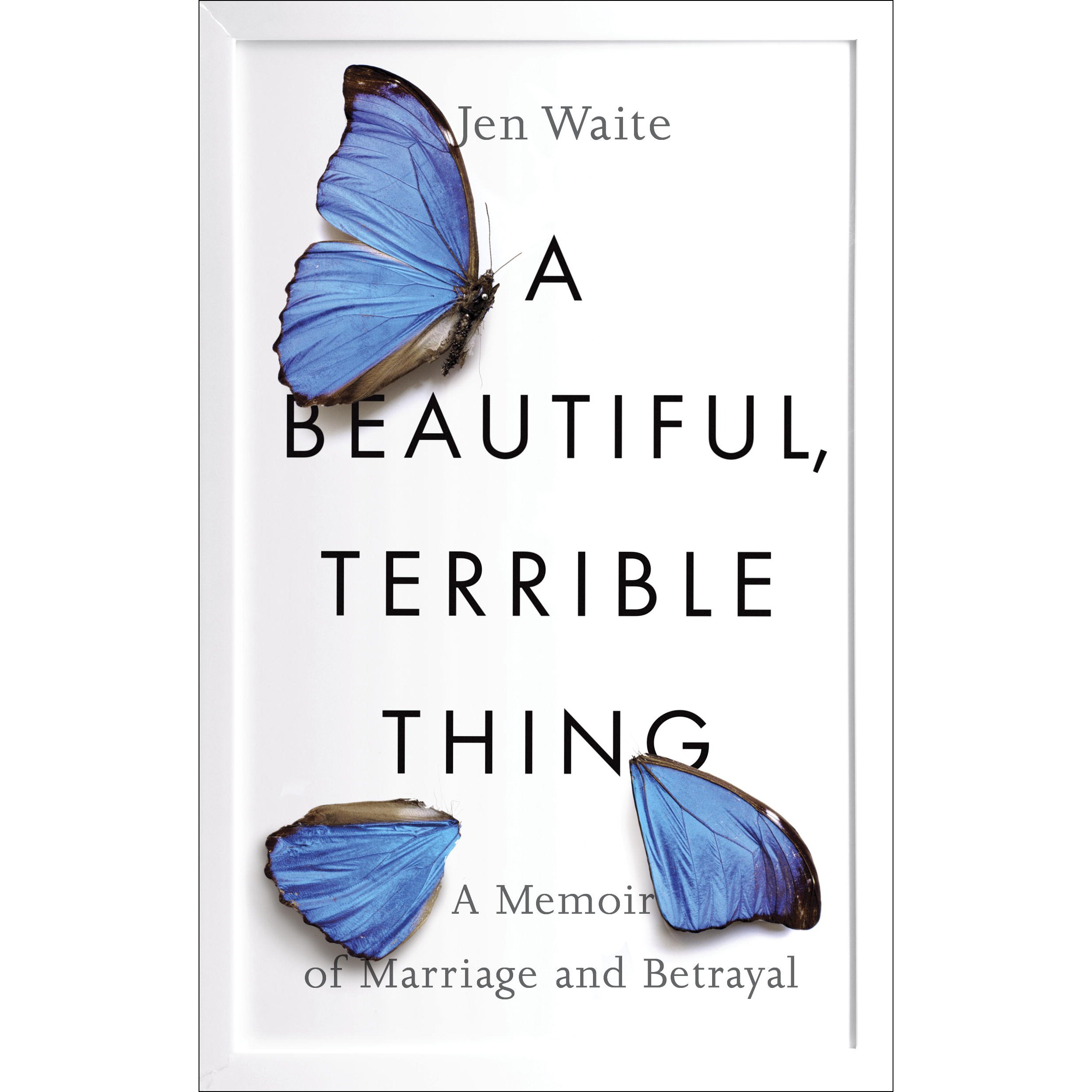 Cover art for A Beautiful, Terrible Thing