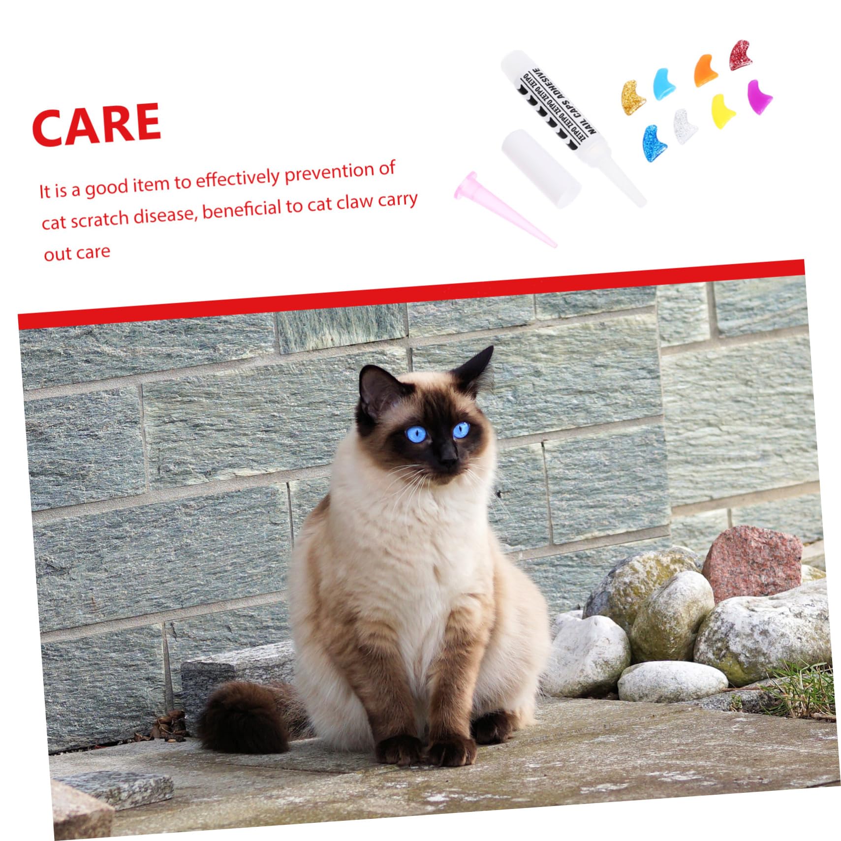 YARNOW 320 Pcs Ensemble D'Ongles pour Animaux De Compagnie Couvre-Griffes De Chat Bouts D'Ongles De Chat Capuchons D'Ongles De Chat Pattes De Chat Protecteurs De Griffes De Chat Pattes