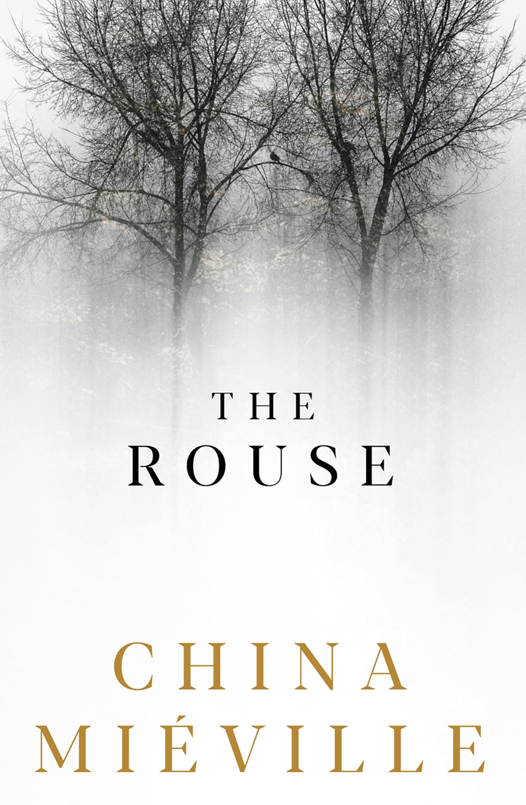 The Rouse: The long-awaited masterpiece from the author of The City & The City