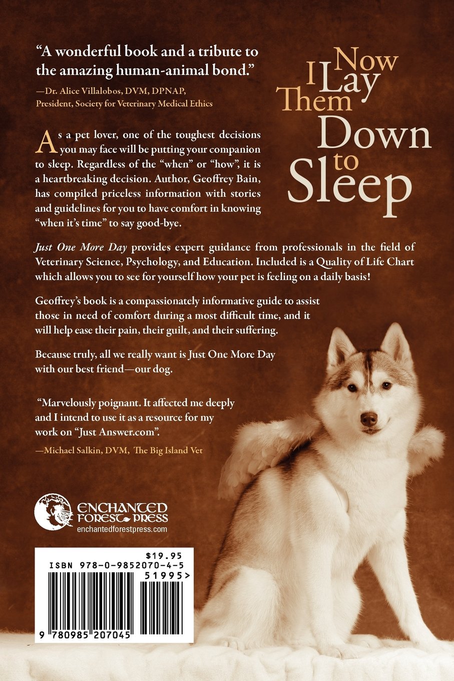 How To Decide To Put Your Dog Down