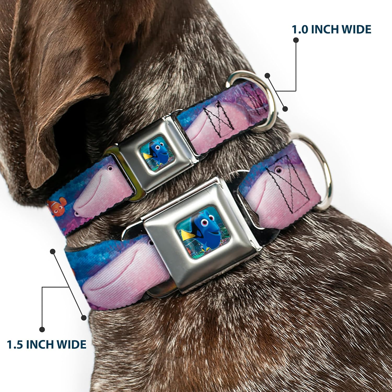 Dog Collar Seatbelt Buckle Dory 5 Friends Under The Sea 13 to 18 Inches 1.5 Inch Wide