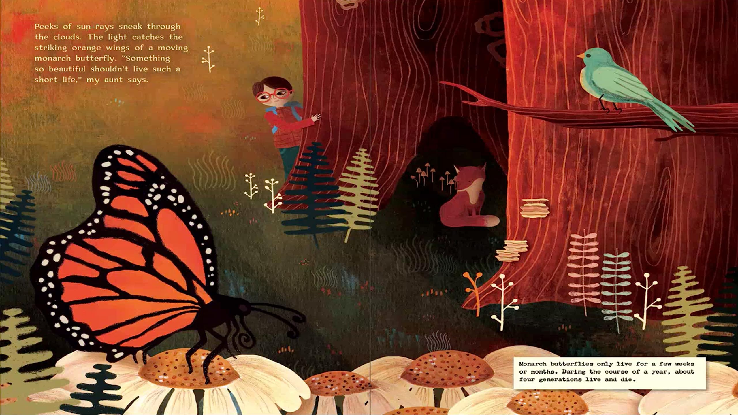 A Walk Through the Redwoods | Juvenile, Science & Nature Children's Fiction Book | Reading Age 5-10 | Grade Level K-5 | Reycraft Books - Image 3