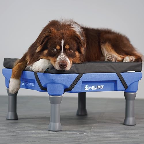 Blue-9 Pet Products Restore - Cama para perros resistente al agua y plataforma de entrenamiento para perros KLIMB y sistema de agilidad, juego de 2