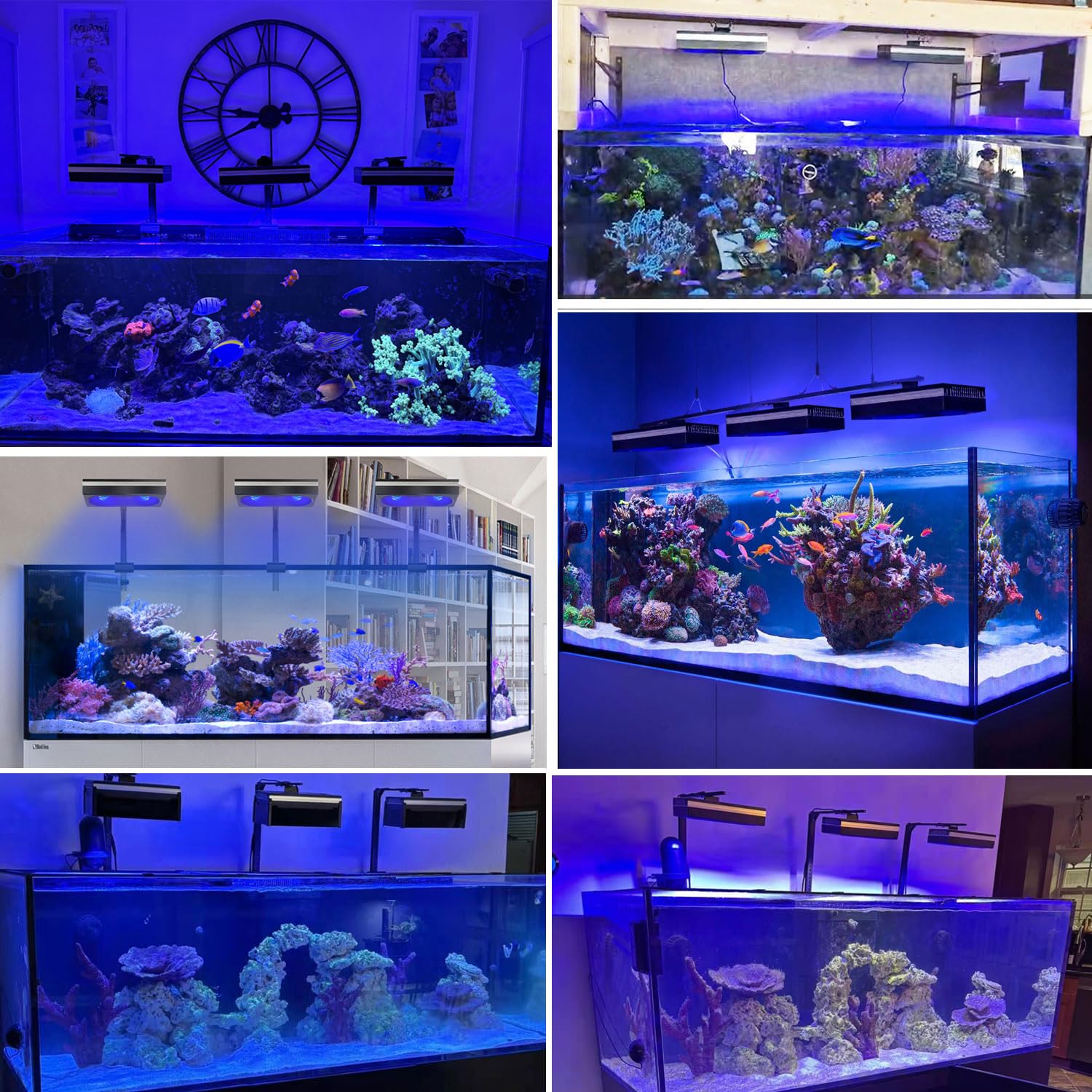 PopBloom RL180 Luce LED per acquari con supporto, illuminazione per acquari a spettro completo con controllo tramite app, ciclo di illuminazione per acquario da 180W, per acquario marini da 60 cm