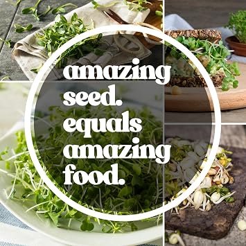 Protein Powerhouse Sprouting Seed Mix: 8 Oz - Organic, Non-GMO - Sprouting Sprouts, Food Storage. High Protien Sprouts - Pea, Mung, Green Pea, Adzuki