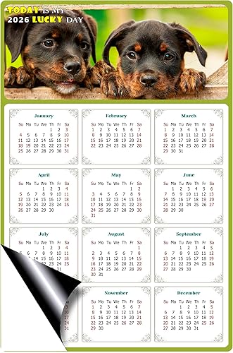 Miniatura 2 de Calendario magnético 2024  Imanes del calendario  Today is my Lucky Day  Resistente a la decoloración, desgarros y agua  Temática de perros 04 (5.25