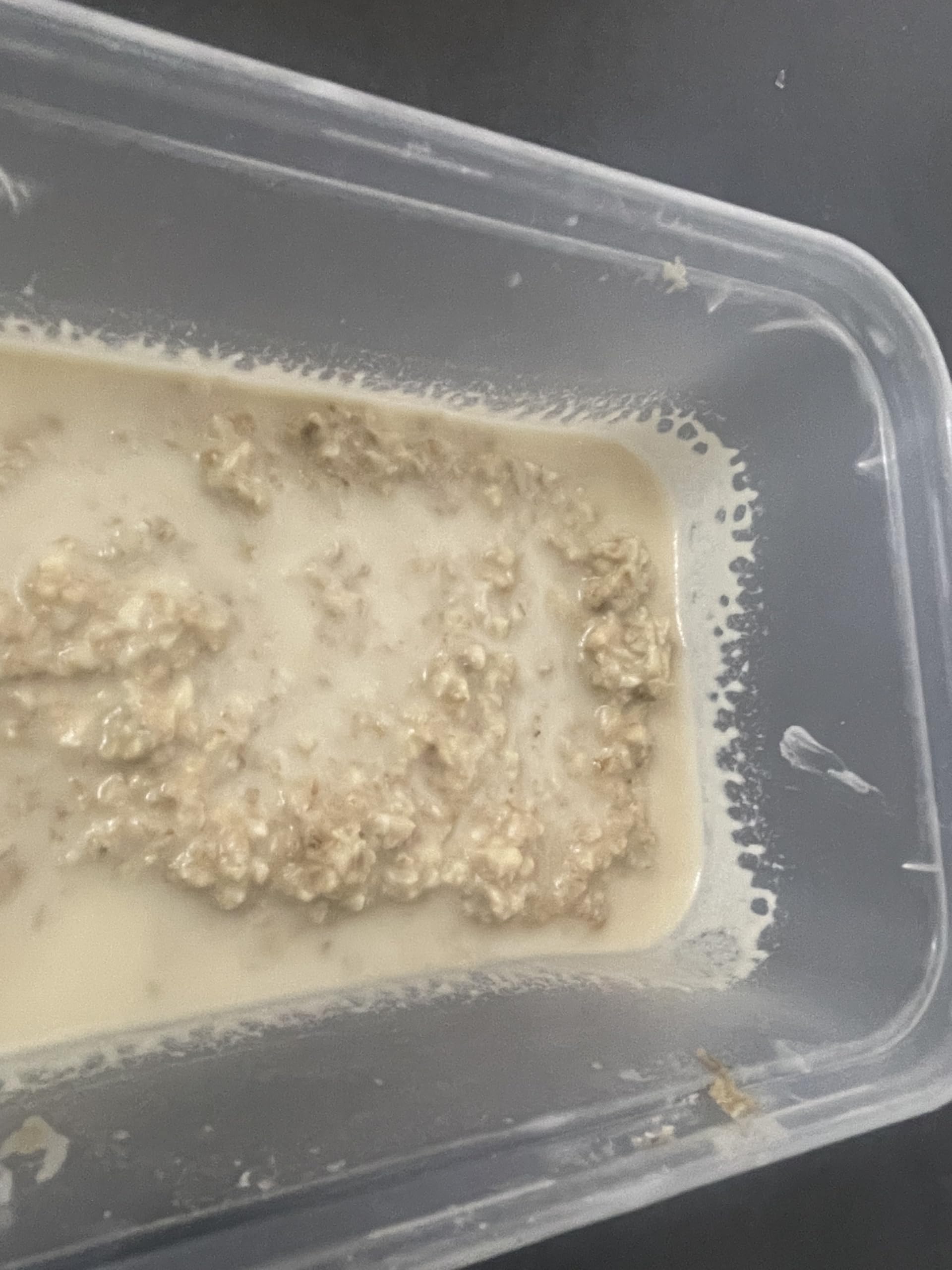 50g Microworm culture