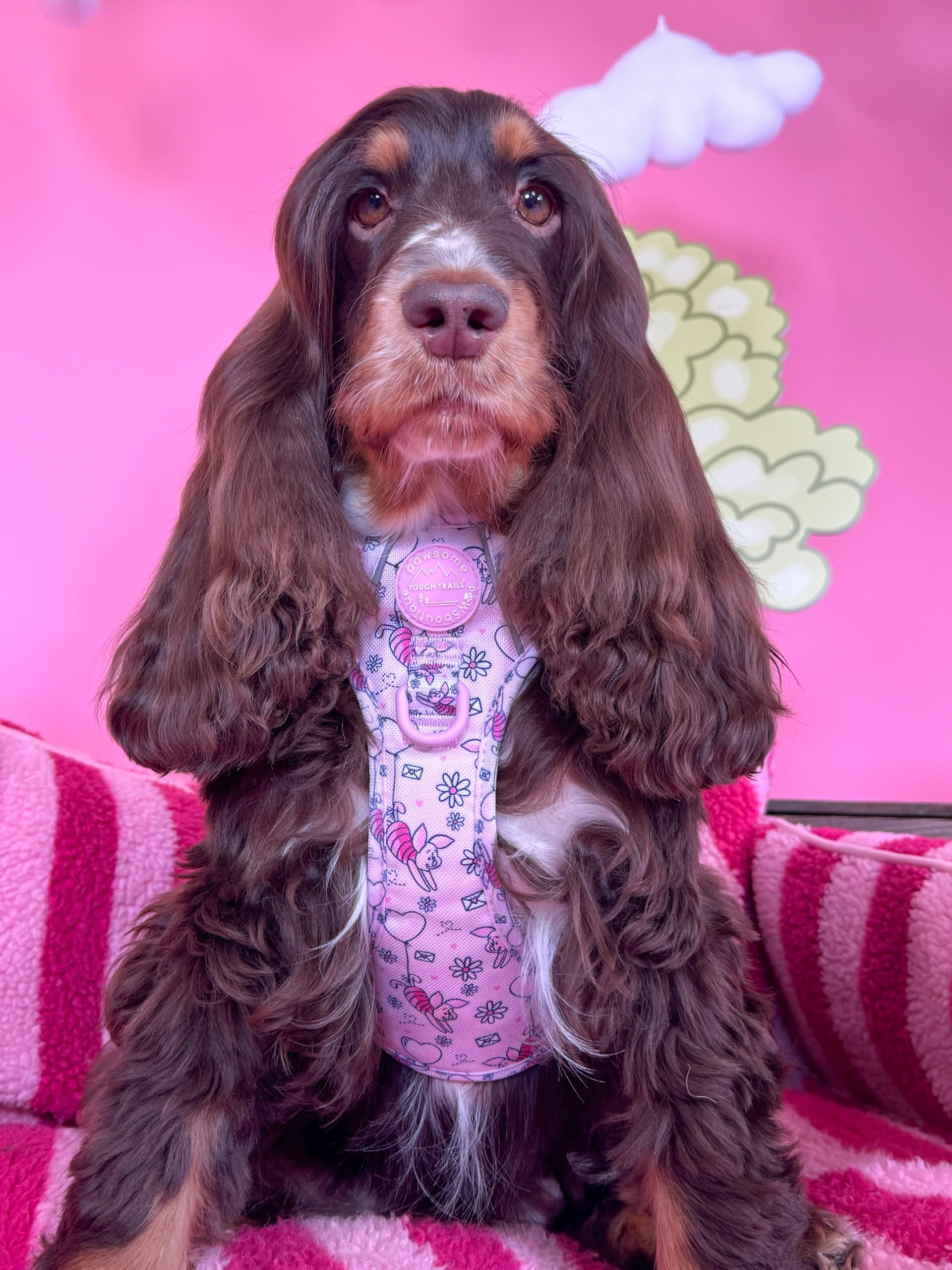 Pawsome Paws Boutique Ferkel Hundegeschirr, robust, verstellbar, Disney-Design, kein Ziehen, mit reflektierendem Rand und Stabiler Schnalle