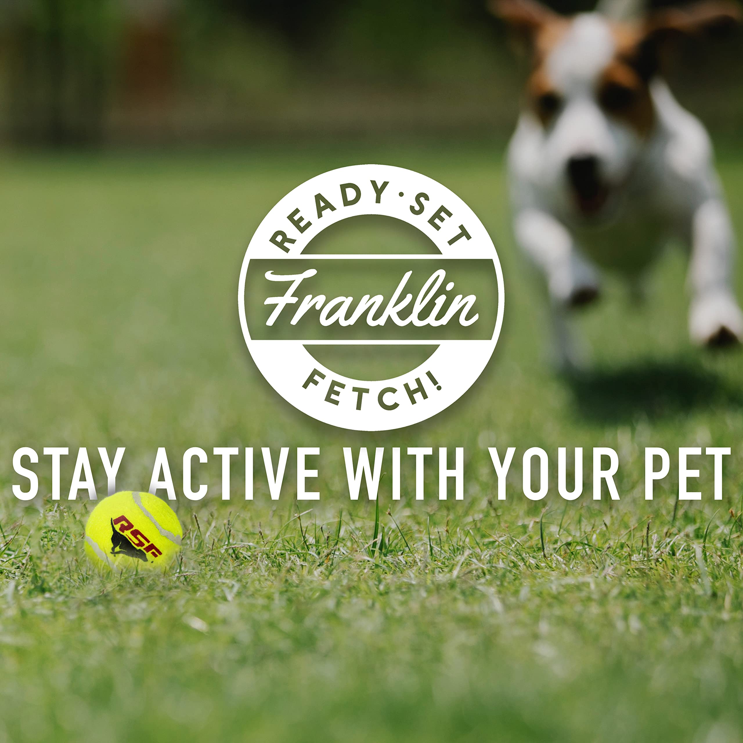 Franklin Pet Supply Lanceur de Balle de Tennis pour Chiens – Balle pour Chien + Canon à Lancer de Balle de Tennis pour rapporter – Jouet Parfait pour Les Petits Chiens