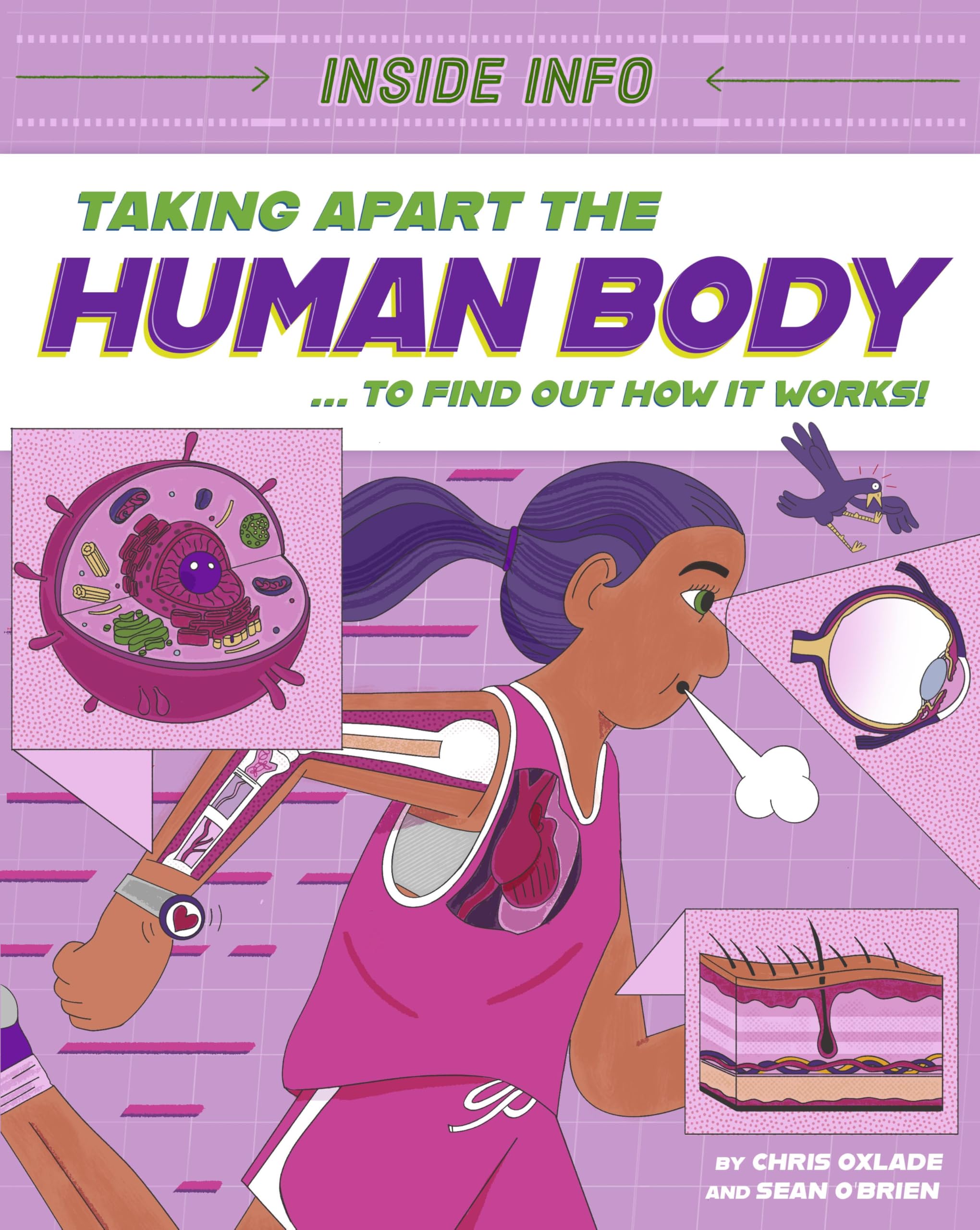 Inside Info: Taking Apart the Human Body by Chris Oxlade, Sea... - 9781526327024