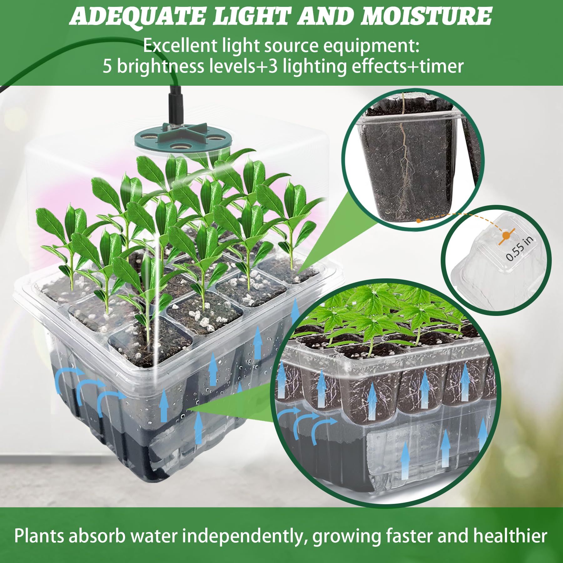 VEEKAY 6 Pièces Auto-arrosant Mini Serre pour Plantes kit,Kit de Culture Serre avec LED luminosité réglable,avec Coussin Absorbant,Température et humidité réglables,avec kit D'outils De Plantation
