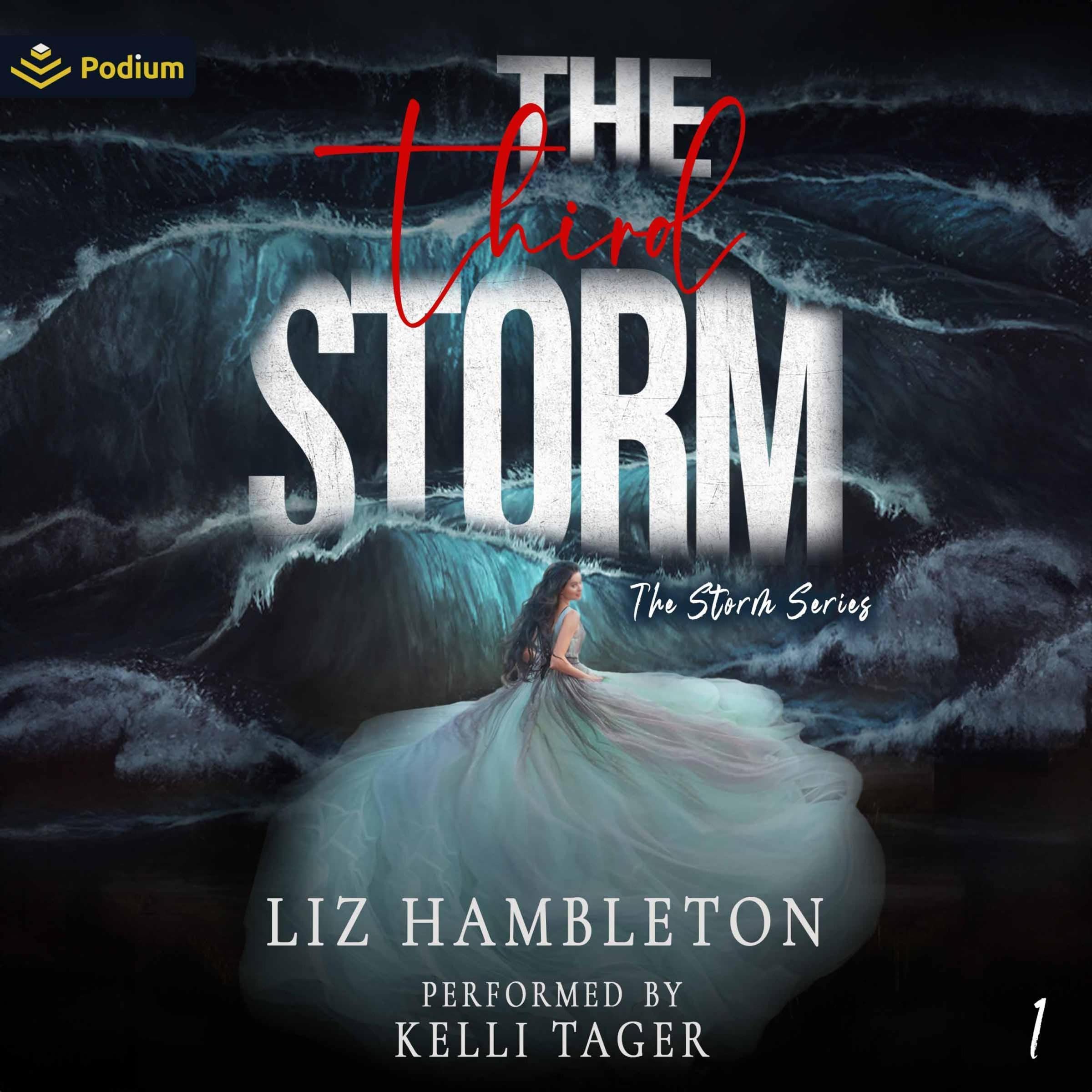 Cover art for The Third Storm