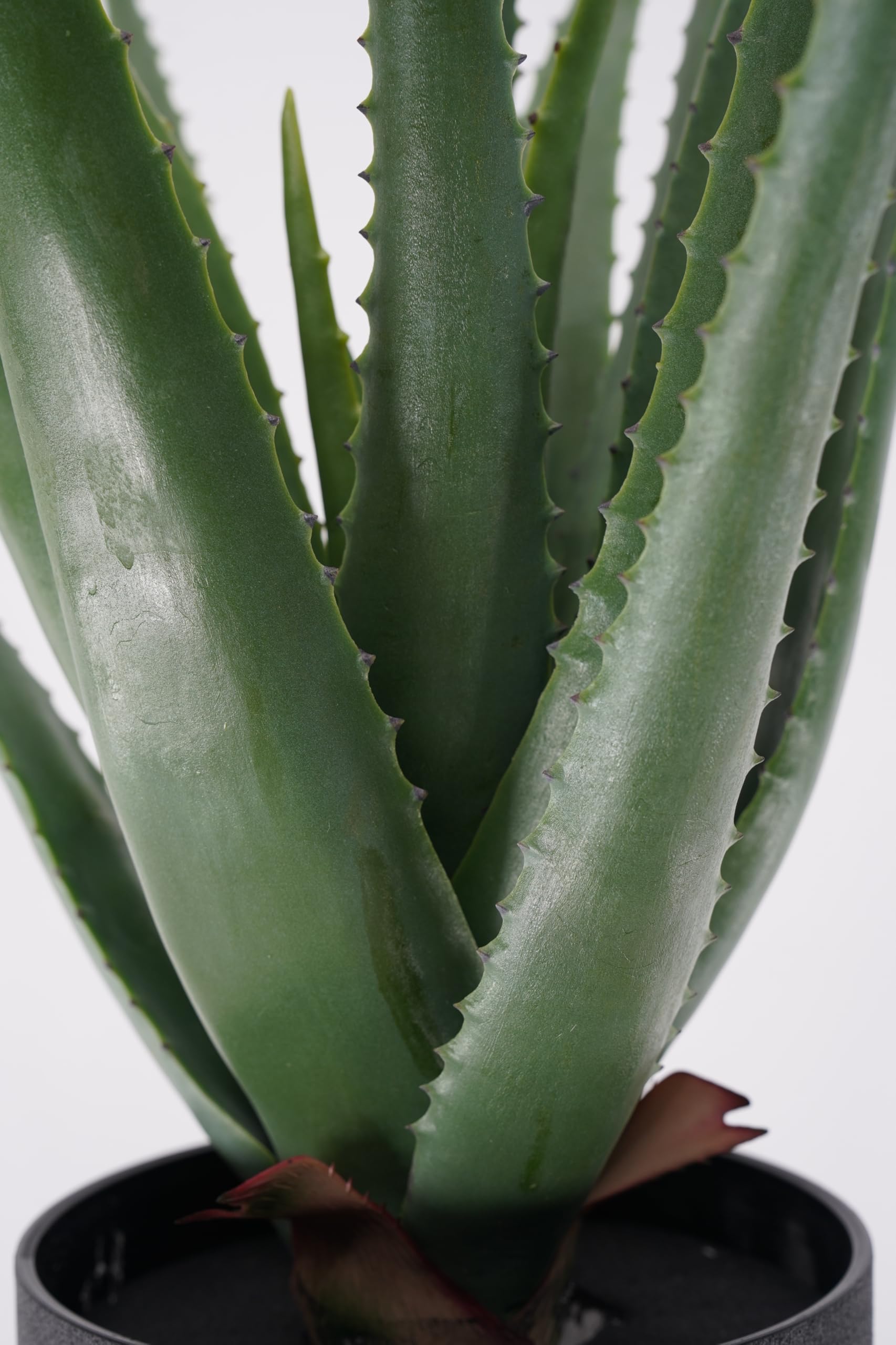 Aloe Artificiale Pianta Grassa Sintetica Realistica Foglie in Pvc per Arredare Interni e Attività Commerciali (Elisa - Aloe 69 cm)
