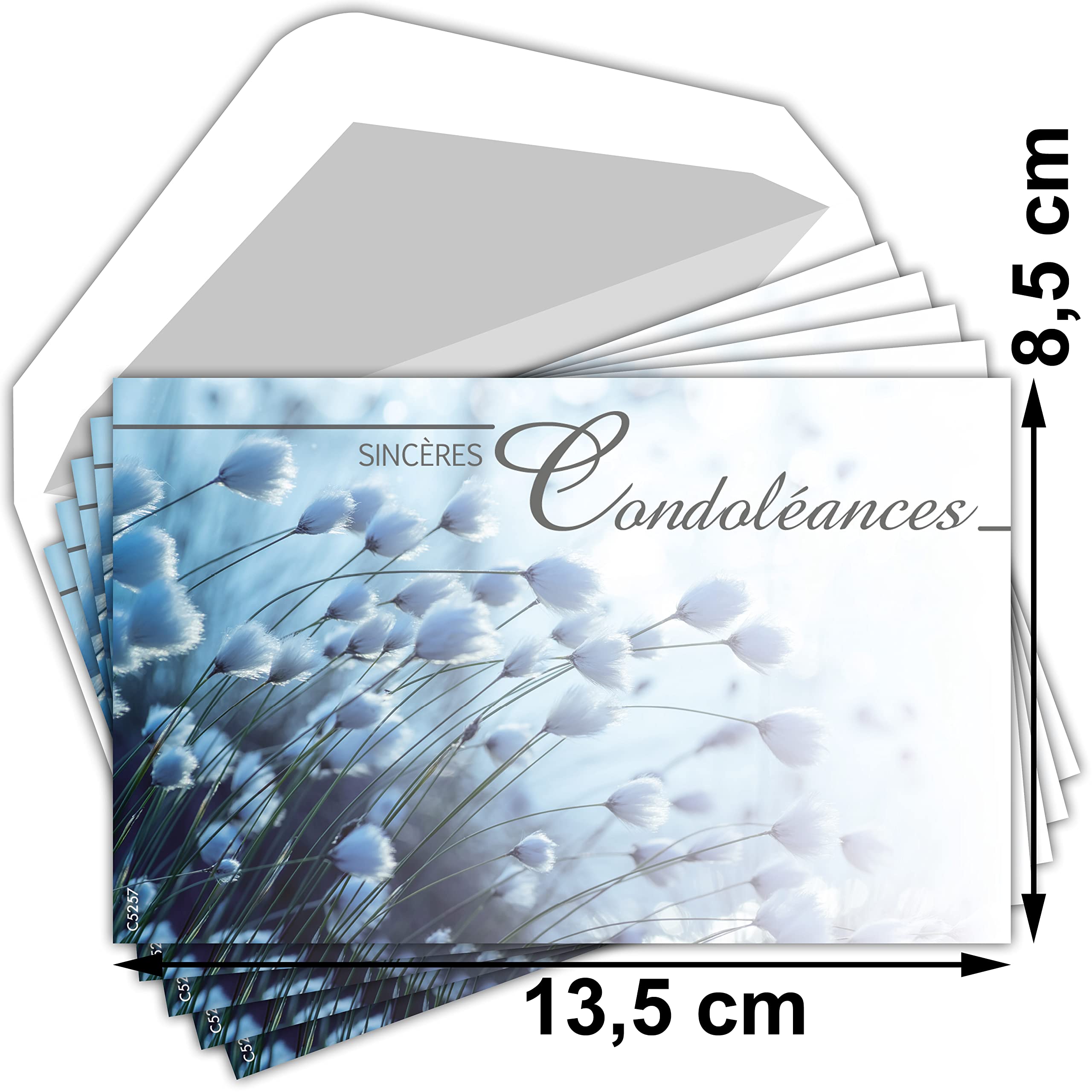 Acheter AFIE C5268 Sincères Condoléances Lot De 5 Cartes Identiques Et Enveloppes Blanches Format 9x14 Cm Texte Epreuve Décès Obsèques Funérailles Deuil Feuilles Fabriquées En France ? Comparer Chez