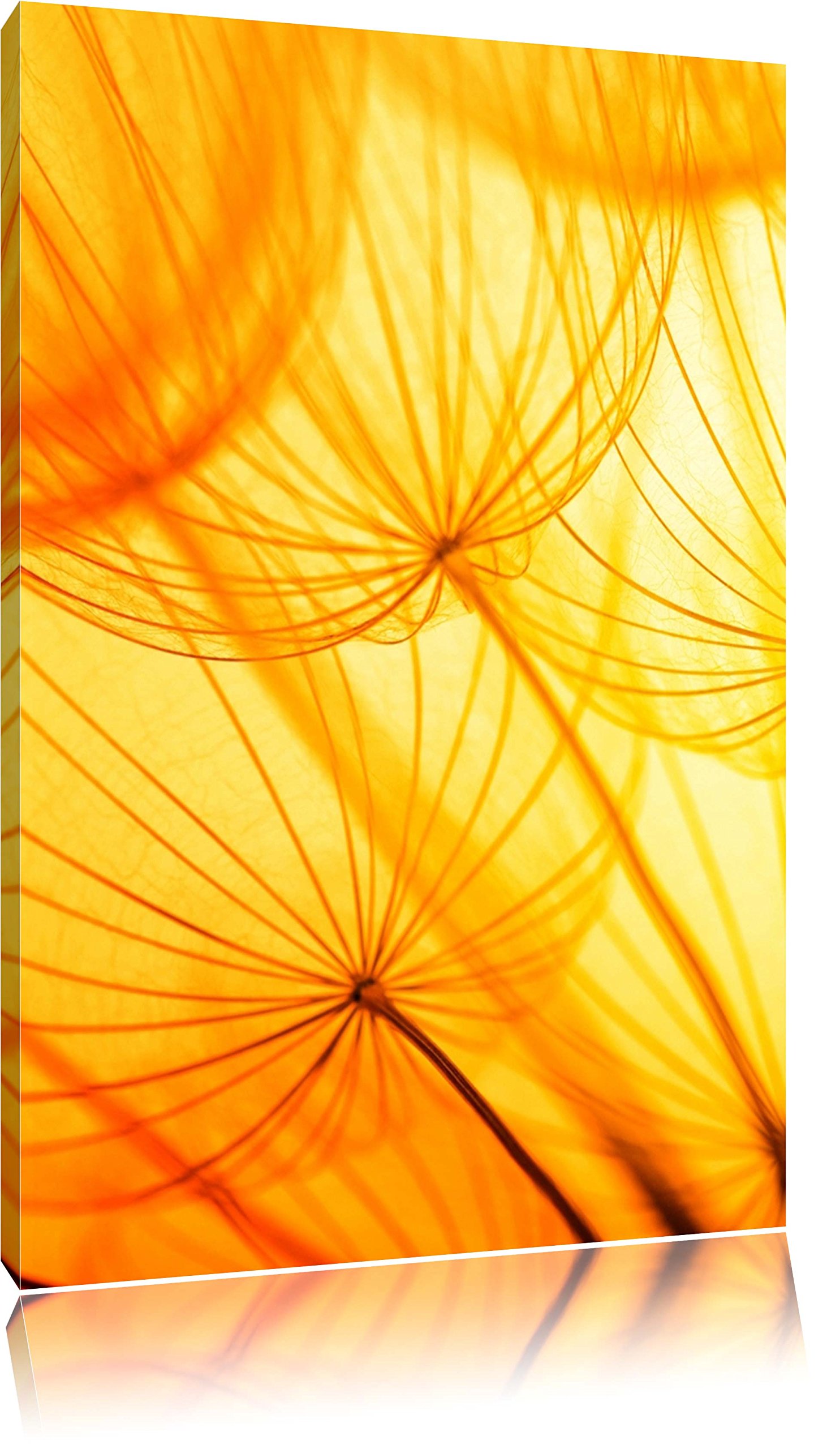 PixxprintColourful Canvas Wall Art