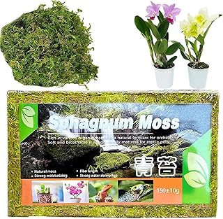 Youning Natürliches Sphagnum Moos Torfmoos für Garten Zimmerpflanzen Terrarien Blumenerde Wassermoos Trockenmoos Wasser Gras Substrat Spaghnummoss Kultursubstrat für Pflanzen Orchideen (1 Beutel) product image