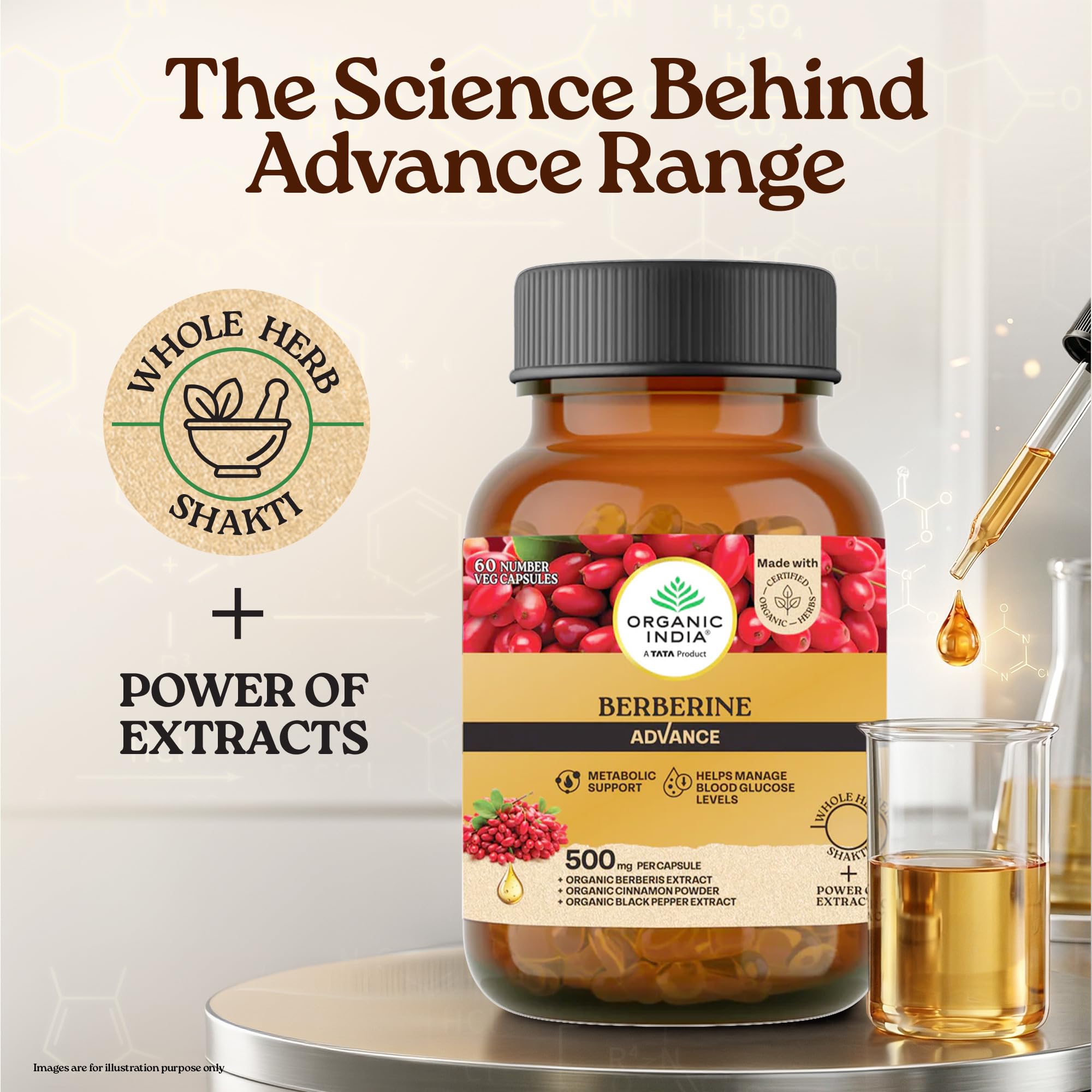 Organic India Berberine Advance Capsules, 60 Veg Capsules, 500 mg per Capsule, With Organic Cinnamon & Black Pepper Extract, Metabolic Support & Blood Glucose Balance product image 2
