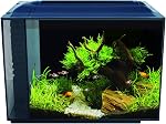 Fluval Spec Kit Aquarium – noir - 60 L (16 US gal)