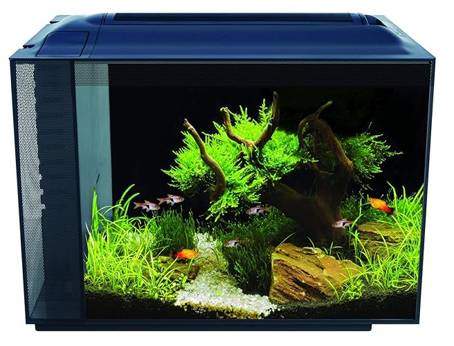 Fluval Spec V Aquarium Kit (16 gal.)