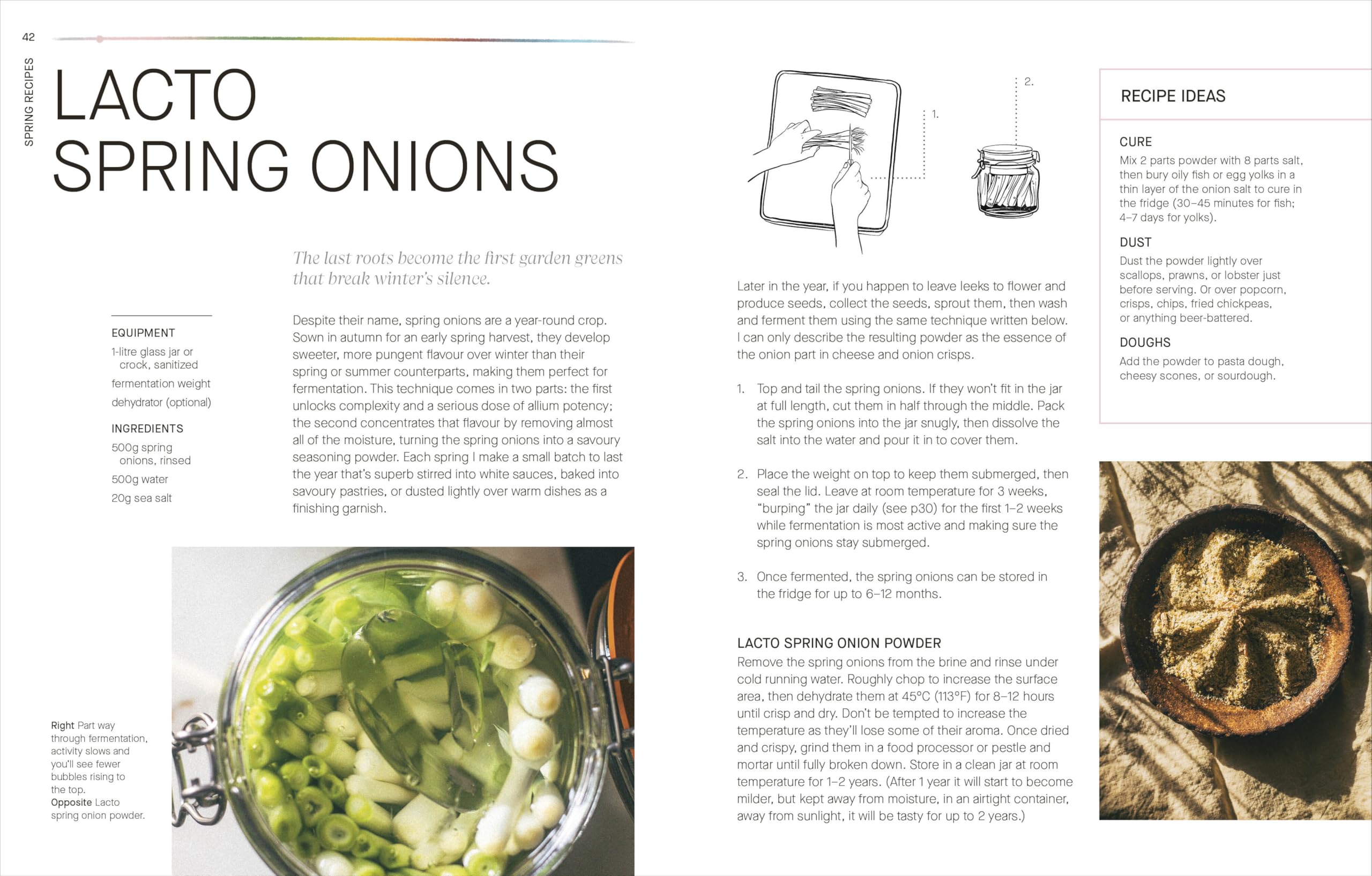 A Year of Fermentation: A Seasonal Guide to the Art & Science of Fermentation
