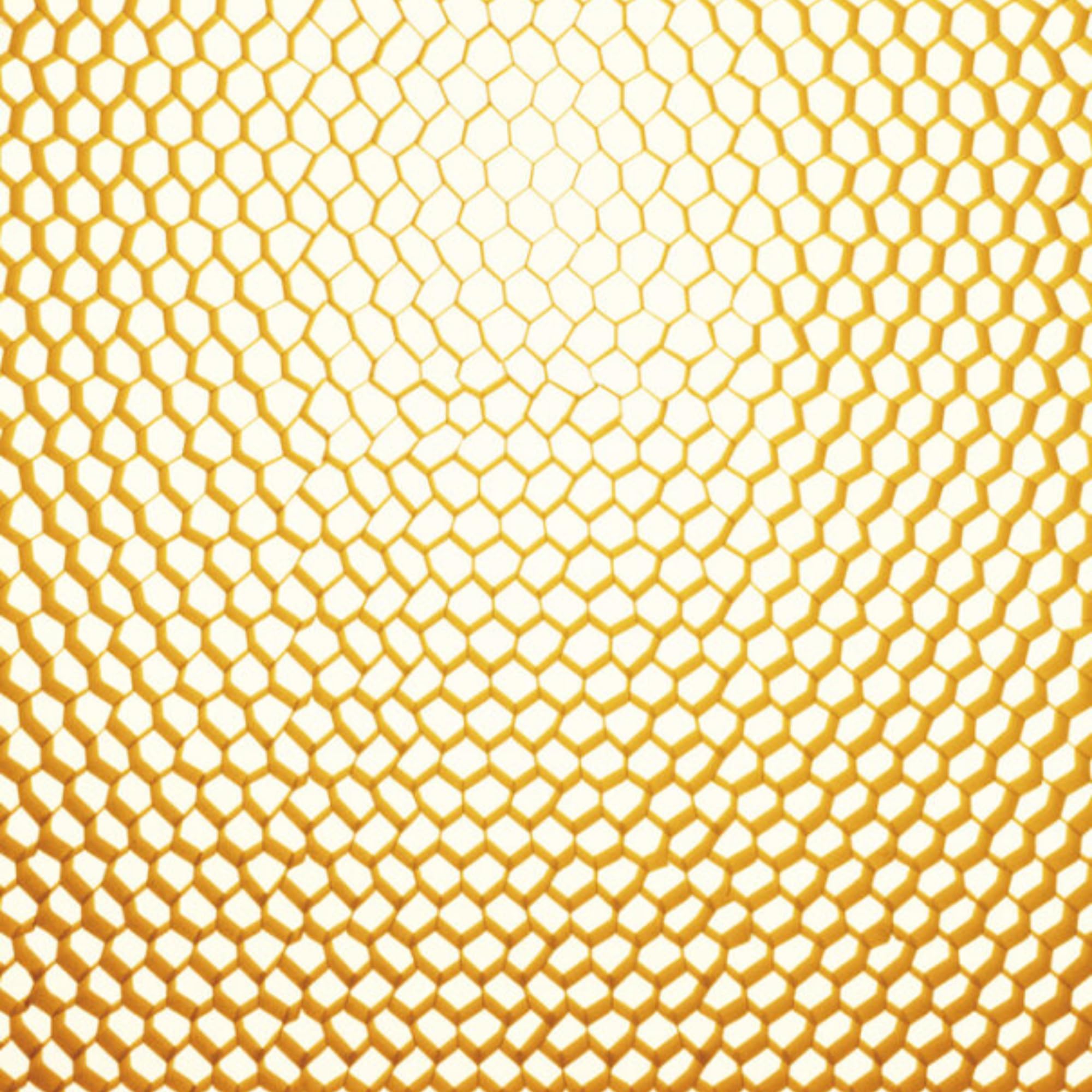 Germaine de Capuccini Royal Jelly Melting Make Latte Struccante - 1 Prodotto