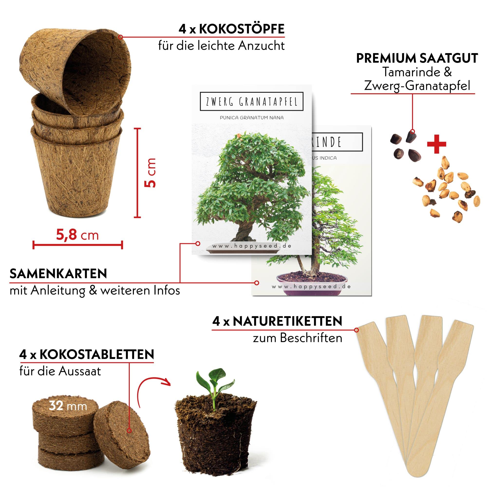 Bonsai Starter Kit - Bonzai set avec pots de noix de coco, graines et terre - Grenadier Nain + Tamarin