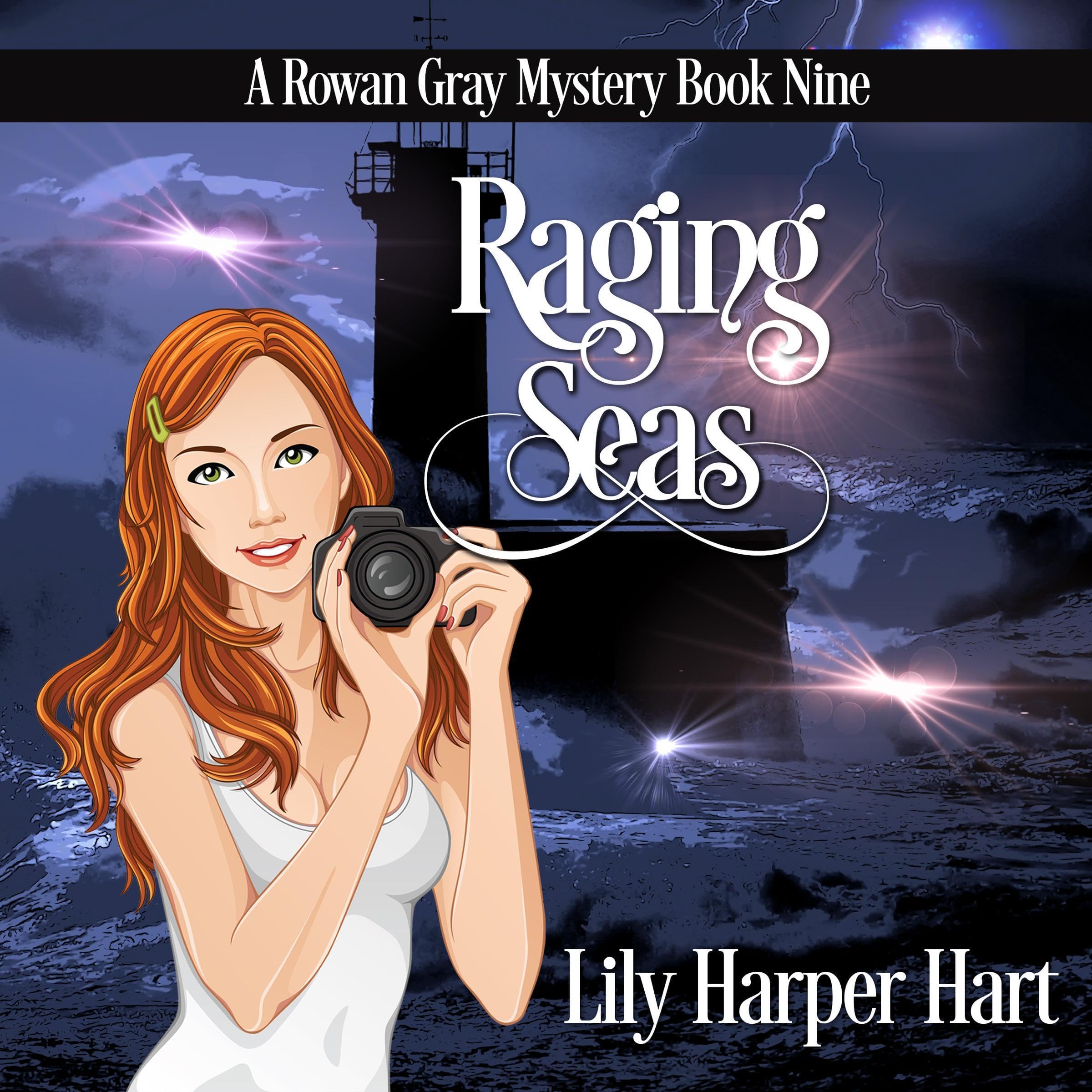 Cover art for Raging Seas