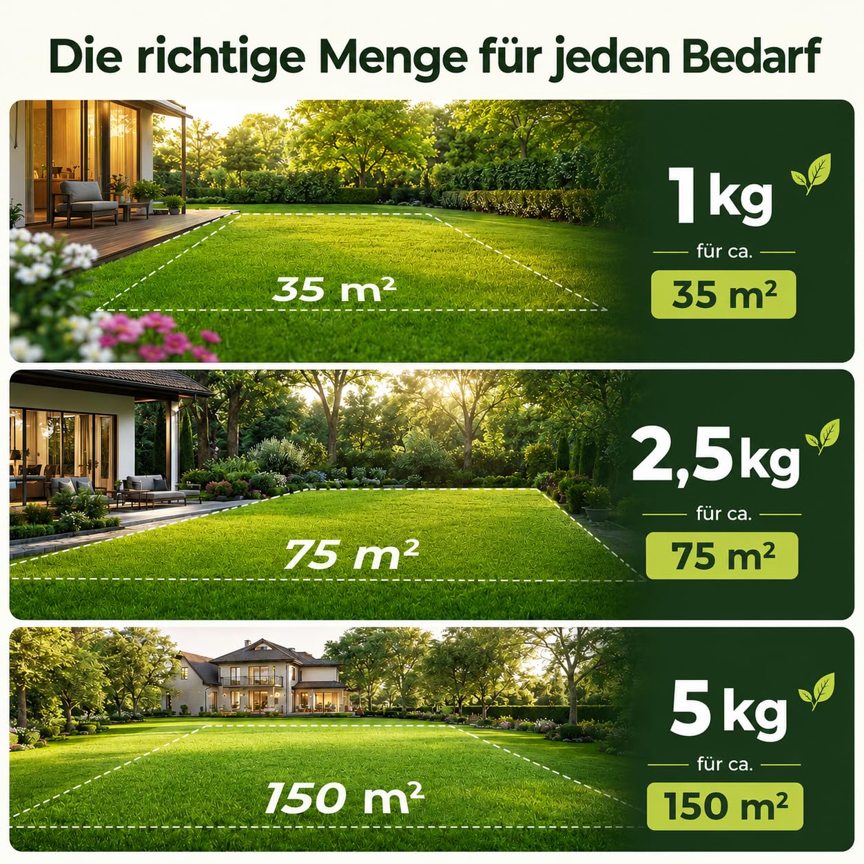 Schattenrasen Samen Rasensamen schnellkeimend Sommer 2,5 kg = 75 m² | Grassamen schnellkeimend für schattige Flächen | für Rasen Nachsaat | SEHR GUT getestet | Inkl. Rasensaat Anleitung