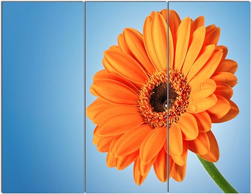 Orange Daisy Gerbera Flower - Canvas Wall Art – 3 Panel Modern Floral Print for 