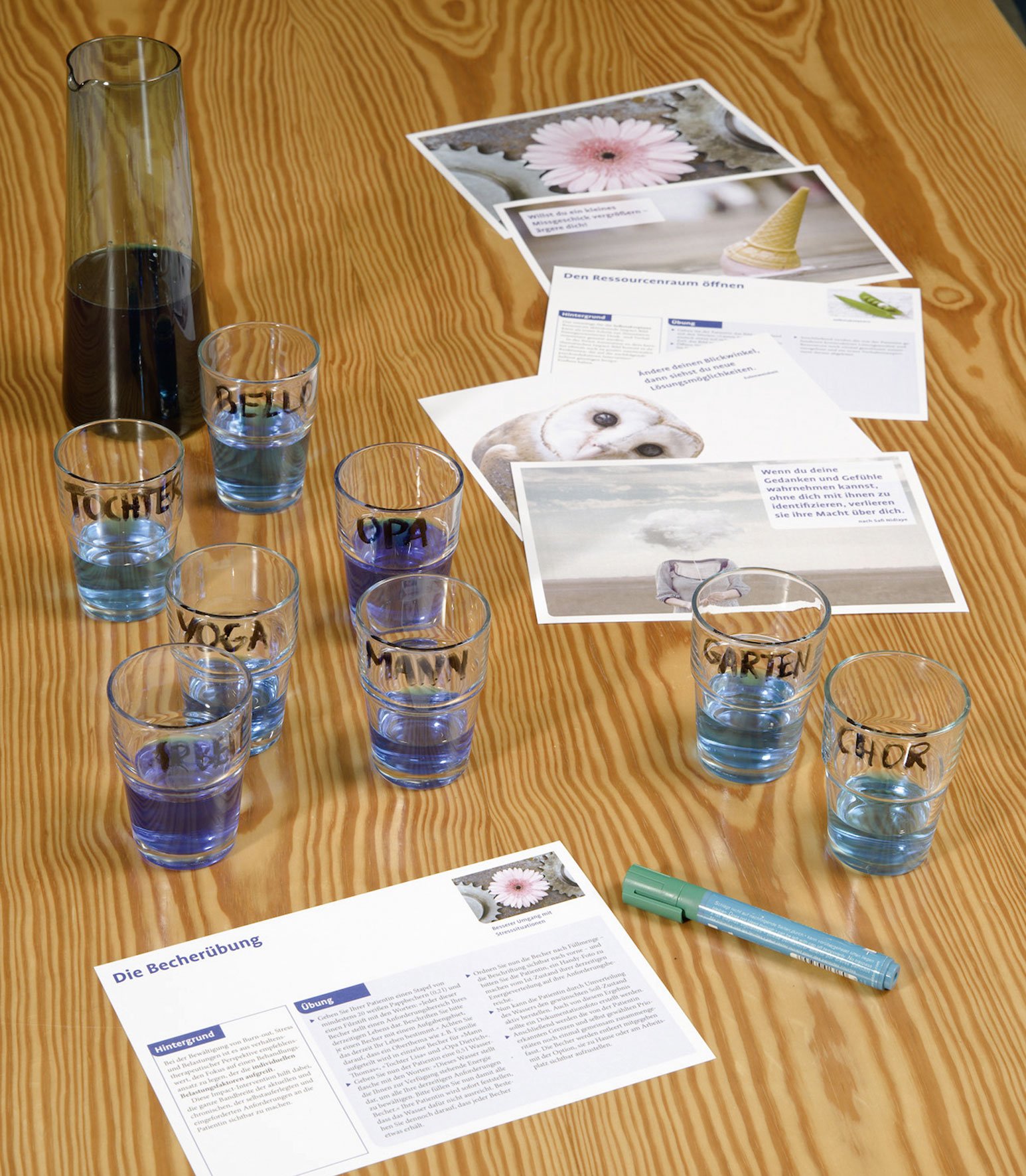 Impact-Techniken: 75 Therapiekarten. Kartenset mit 75 Karten und 36-seitigem Booklet. Mit Online-Material. (Beltz Therapiekarten)