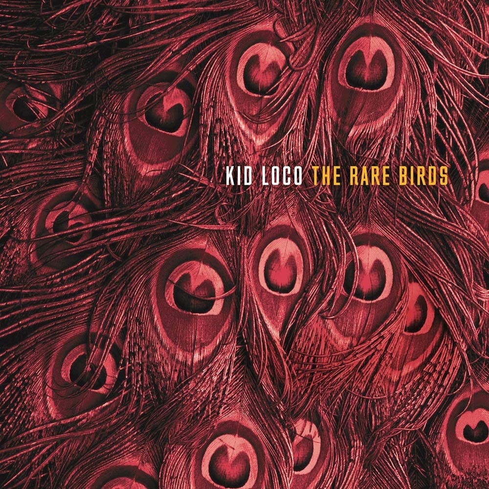 THE RARE BIRDS [VINYL]
