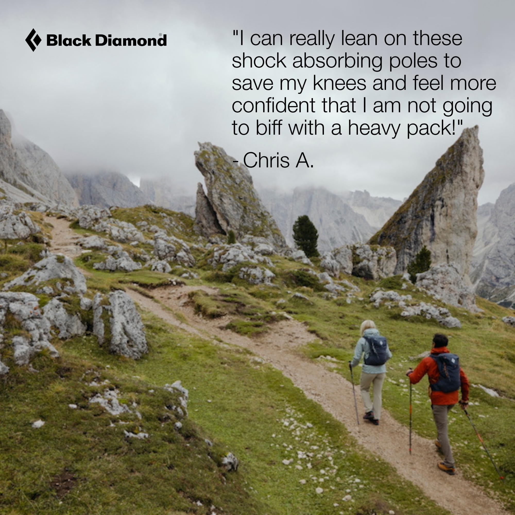 Black Diamond Pursuit Shock Trekking Poles